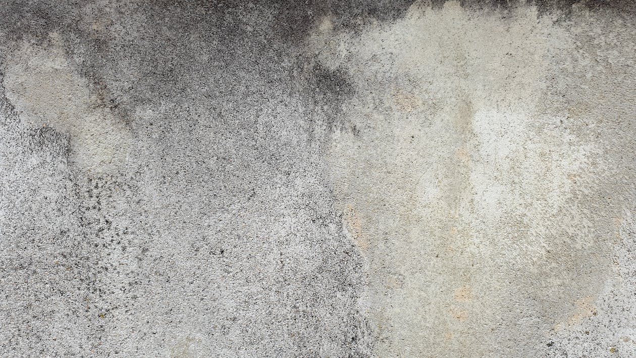  Beton Hintergrundbild 1260x709. Kostenloses Foto zum Thema: beton, dreckig, fleck, grungy, hintergrund, mauer, nahansicht, oberfläche, rau, textur, zerfall