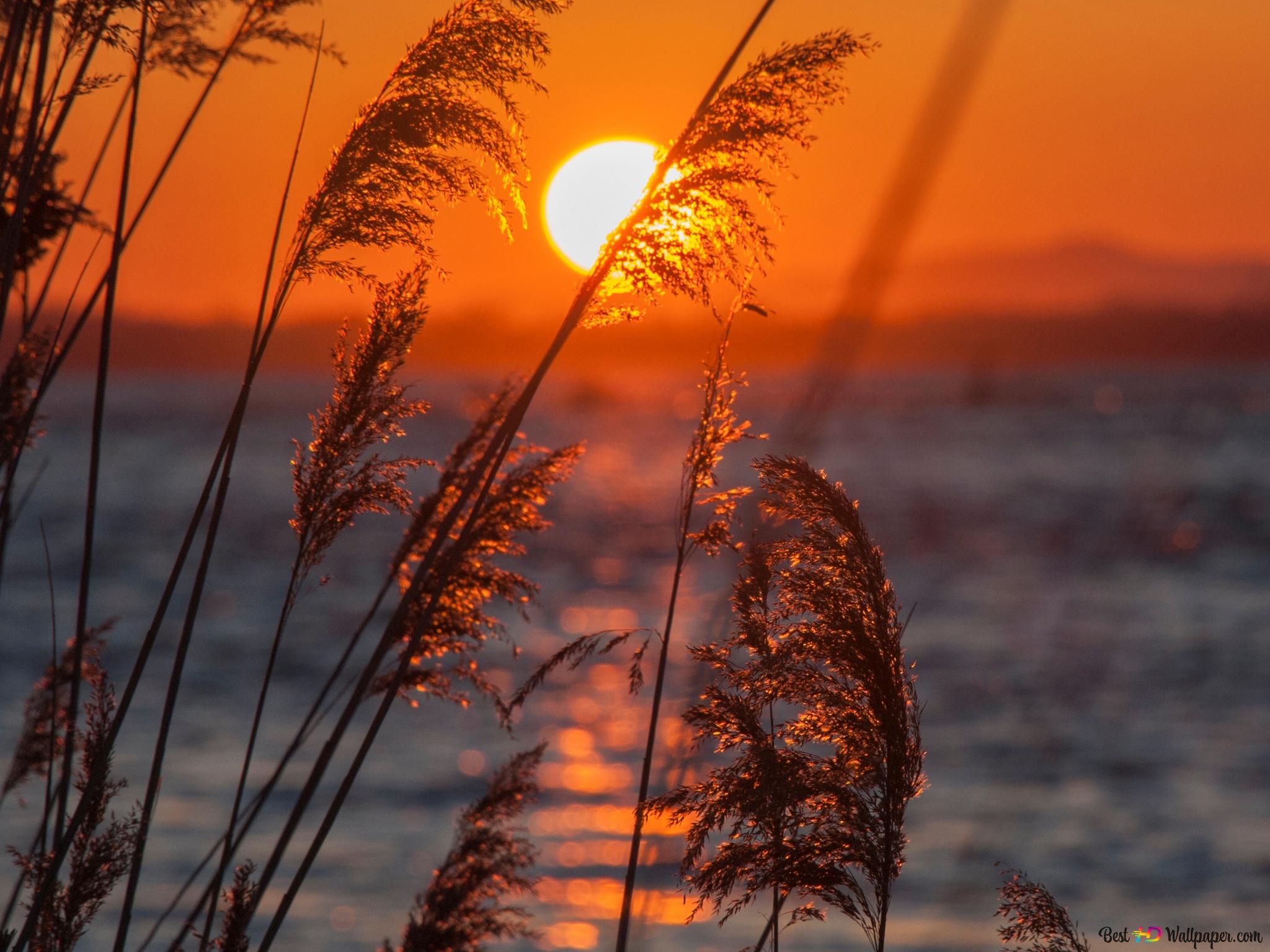 Schöner Hintergrundbild 2048x1536. Ein schöner Sonnenuntergang 4K Hintergrundbild herunterladen