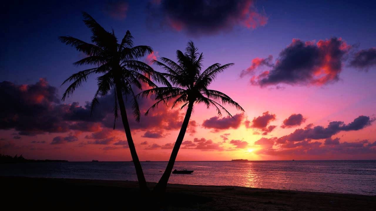  Sonnenuntergang Hintergrundbild 1280x720. Ambeam. Tree sunset wallpaper, Sunset wallpaper, Beach sunset wallpaper
