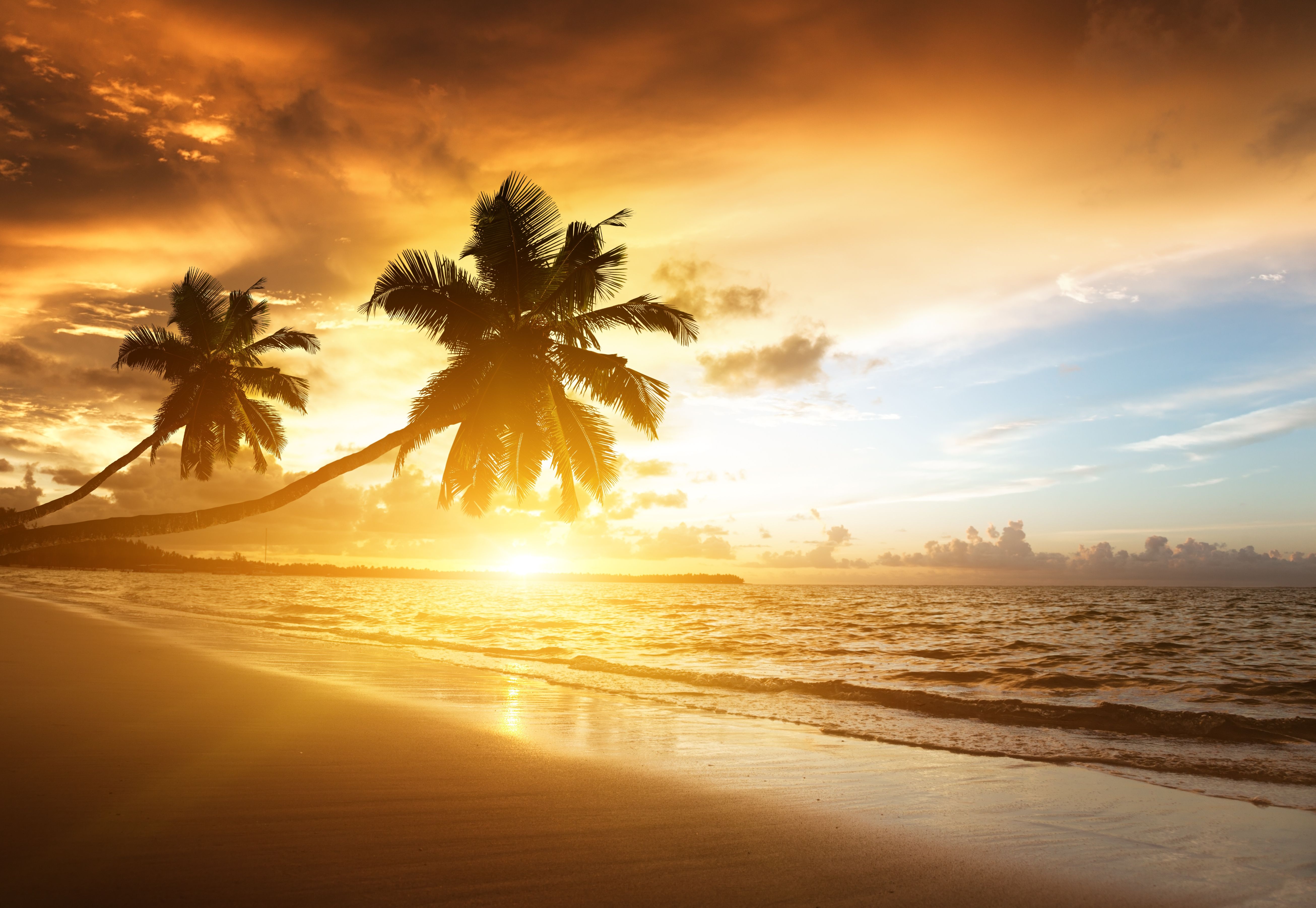  Sonnenuntergang Hintergrundbild 5224x3604. Kostenlose Hintergrundbilder Palme am Meer Bei Sonnenuntergang Sea, Bilder Für Ihren Desktop Und Fotos