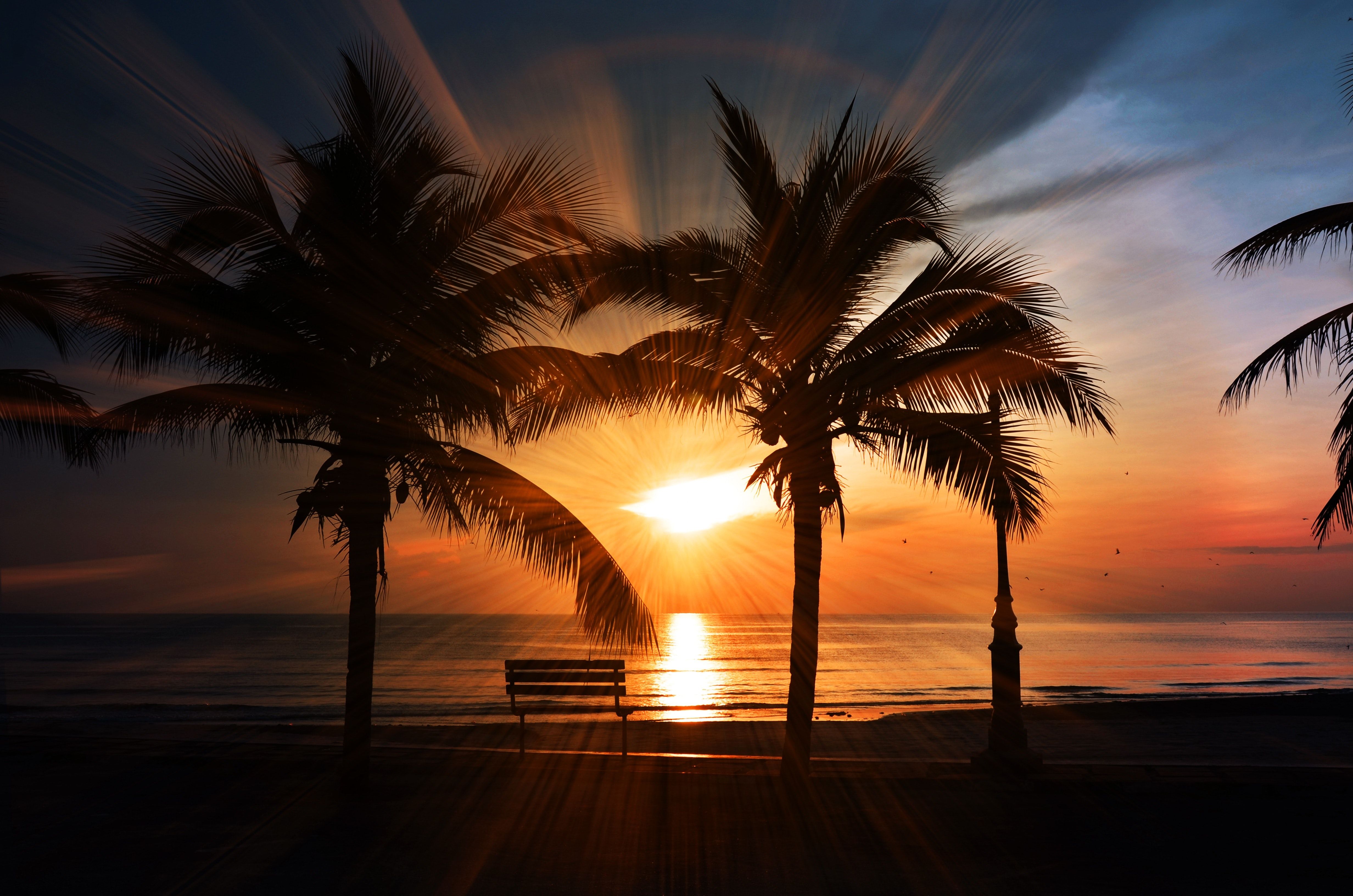  Sonnenuntergang Hintergrundbild 4928x3264. 100.Sonnenuntergang Strand Bilder Und Fotos · Kostenlos Downloaden · Stock Fotos