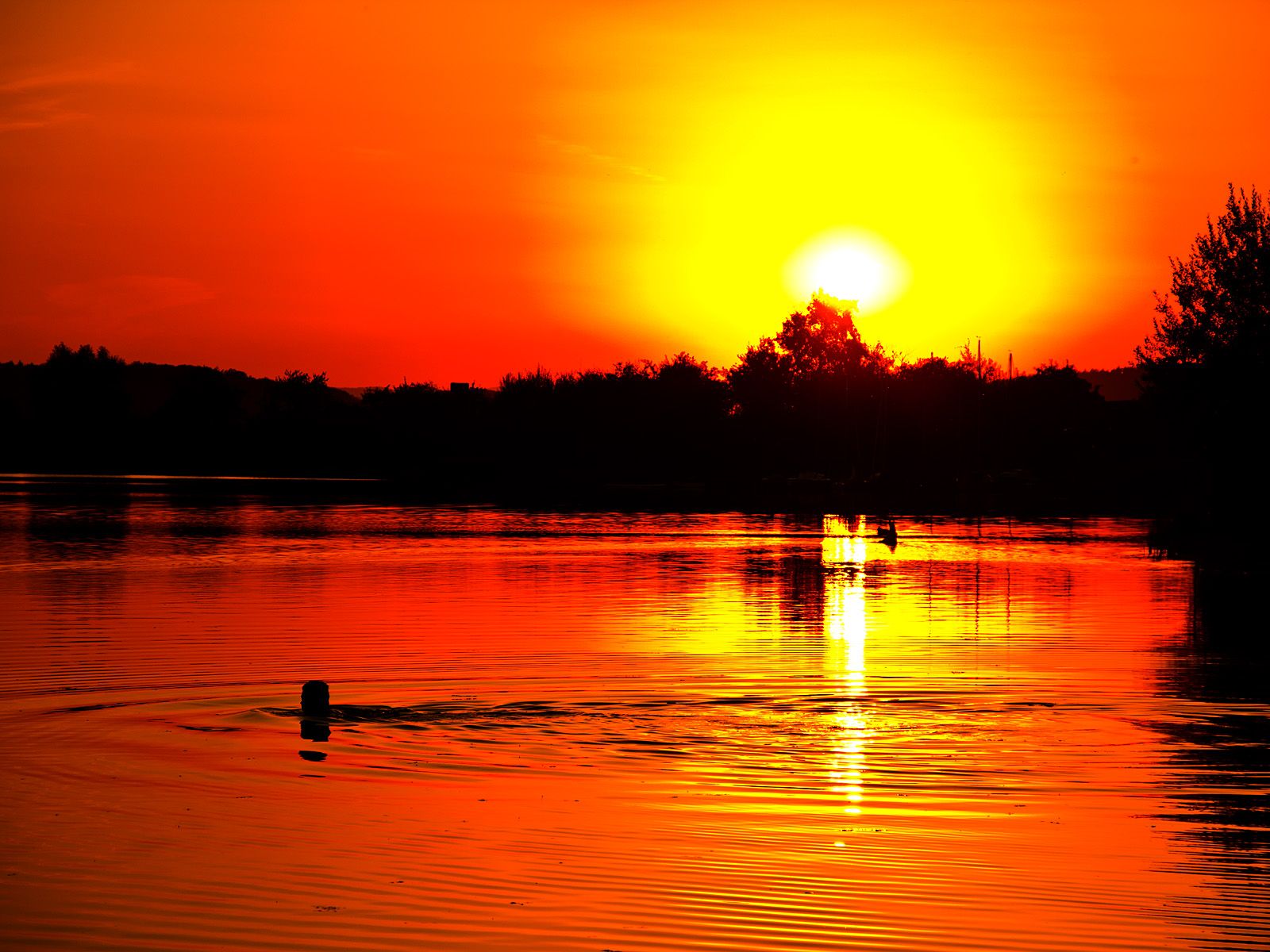  Sonnenuntergang Hintergrundbild 1600x1200. Sonnenuntergang Hintergrundbilderöne Bilder kostenlos