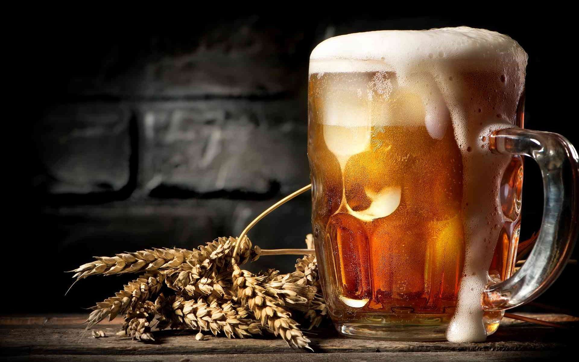  Bier Hintergrundbild 1920x1200. Eine Glasschale Bier, Schaum, Weizen 1920x1200 HD Hintergrundbilder, HD, Bild