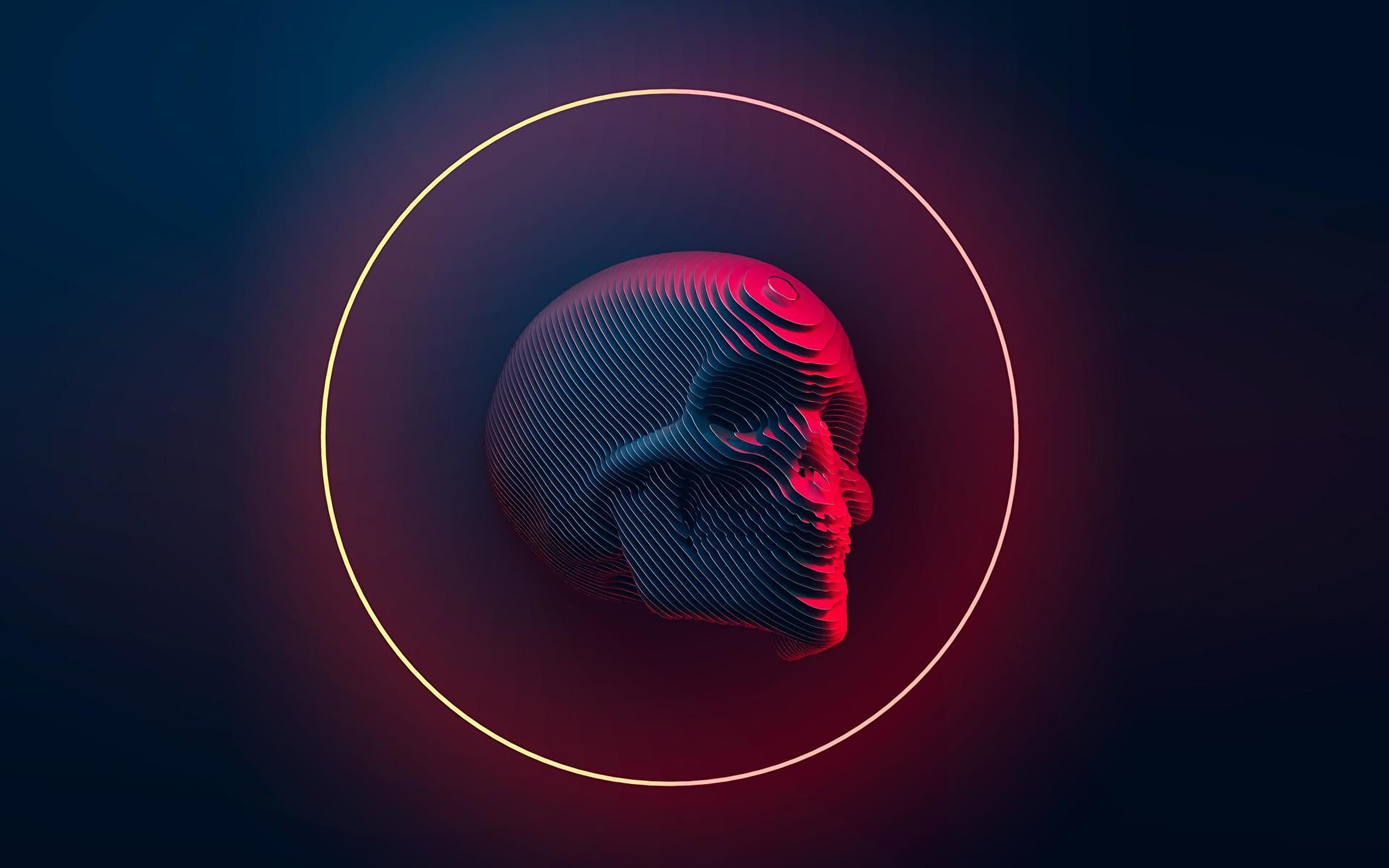  Blender Hintergrundbild 1920x1200. digital #skull #Blender #neon P #wallpaper #hdwallpaper #desktop. Uhd wallpaper, Neon wallpaper, Skull wallpaper