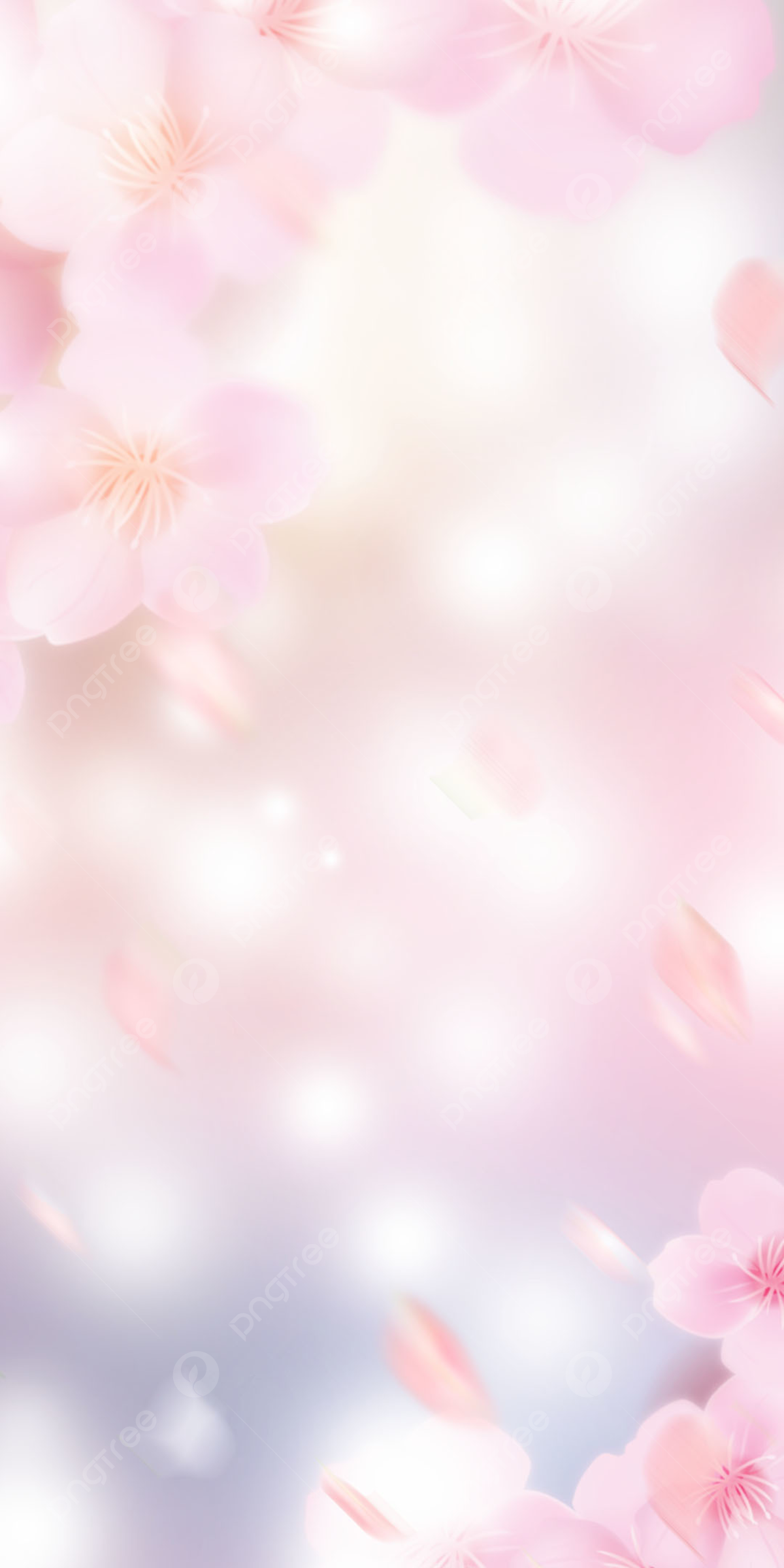  Blumen Hintergrundbild 1200x2400. Frühlingssonne Blumentapete Romantischen Hintergrund, Frühling, Blumen, Hintergrund Hintergrund, Foto und Bild zum kostenlosen Download