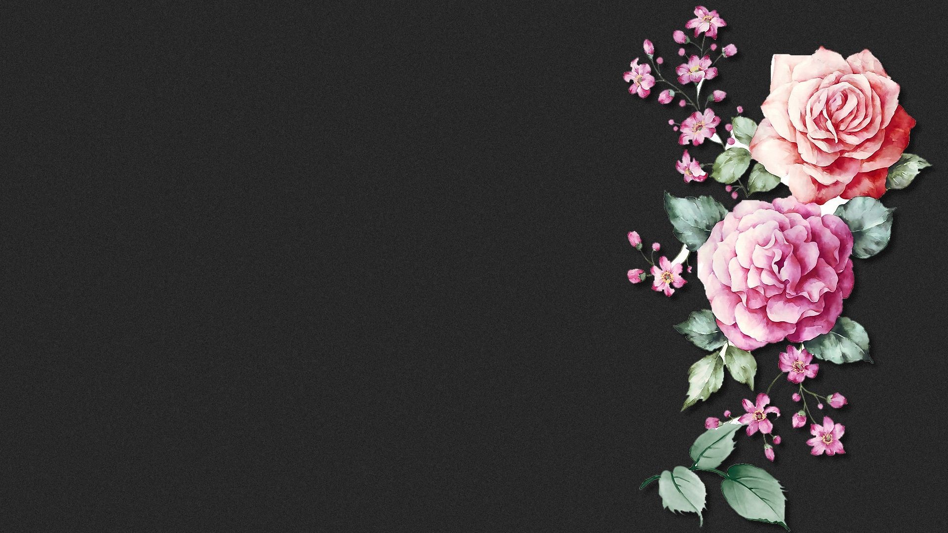  Blumen Hintergrundbild 1920x1080. Hintergrundbilder Blumen HD Kostenlos