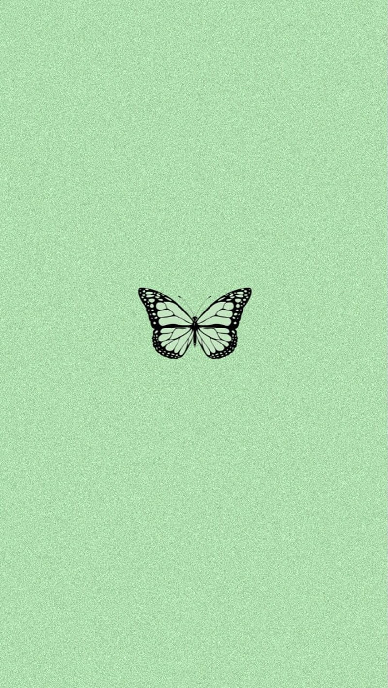 Green Hintergrundbild 800x1418. Aesthetic green, aesthetic, aesthetic butterfly, black, butterfly, cute, green, HD phone wallpaper