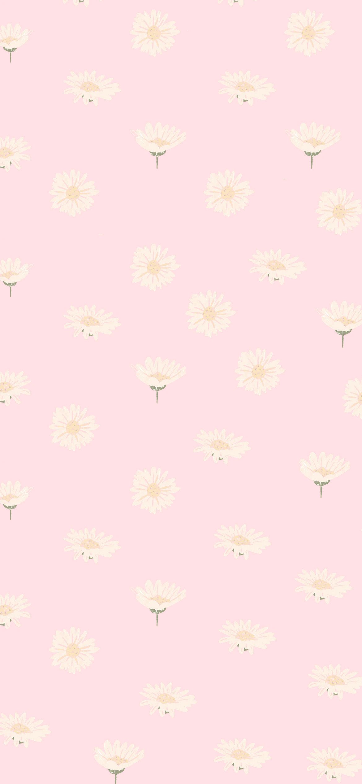 Pink Hintergrundbild 1170x2532. Pink Aesthetic Picture : Pretty Daisy Pink Wallpaper