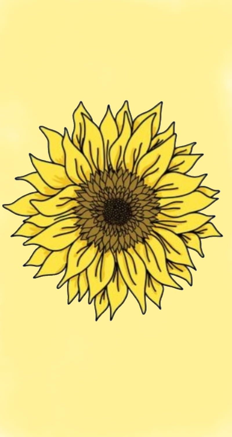 Yellow Hintergrundbild 800x1502. Aesthetic sunflower, cute, pastel, yellow, HD phone wallpaper