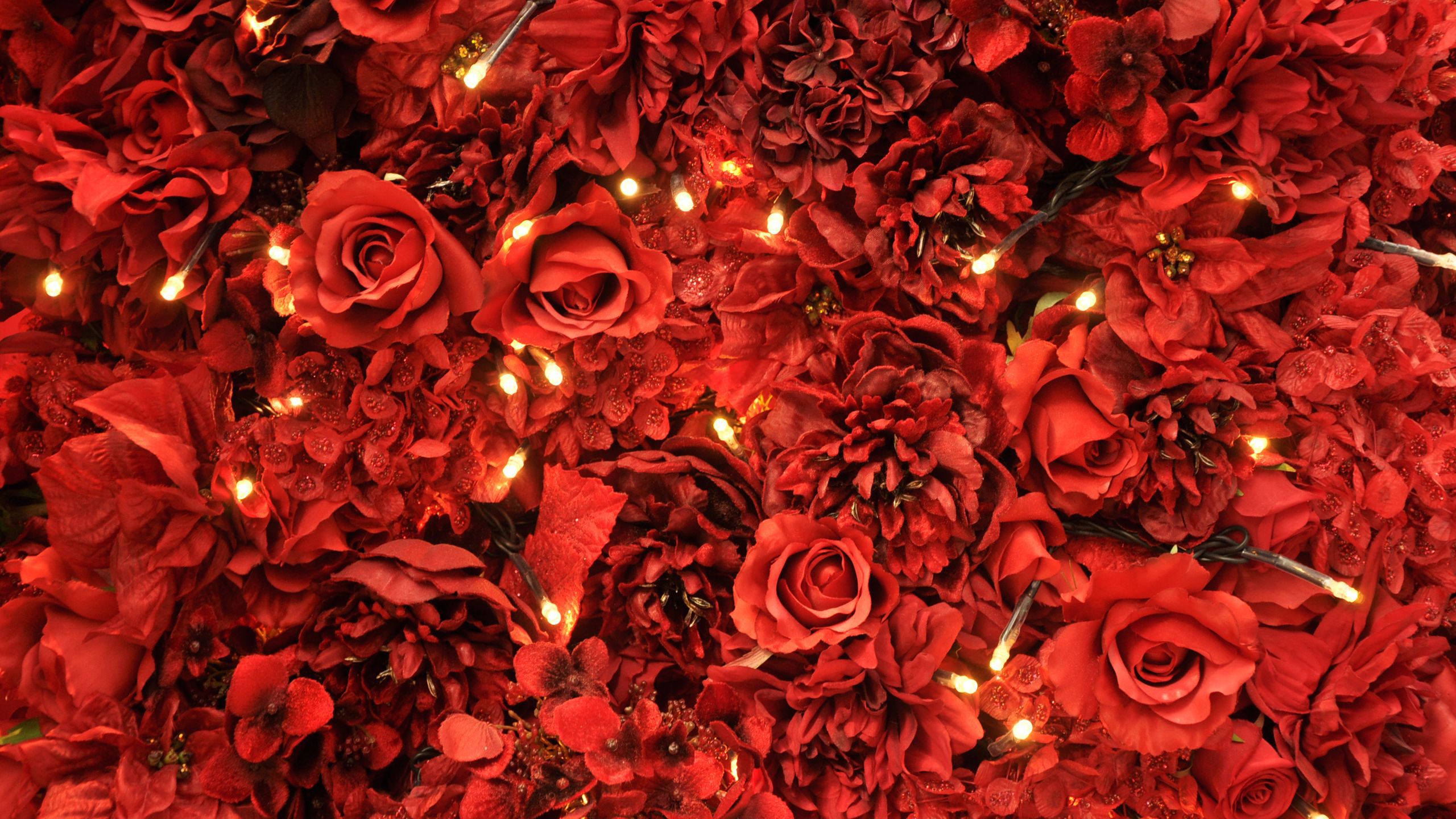 Red Hintergrundbild 2560x1440. Red Roses And Lights HD Red Aesthetic Wallpaper