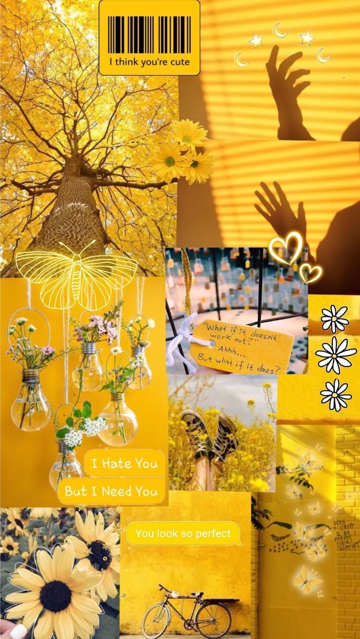 Gelb Hintergrundbild 736x1308. yellow #aesthetic #yellowaesthetic #flower #sunflower #yellowflower #filter #theme #aesthetic. iPhone wallpaper yellow, Yellow aesthetic pastel, Yellow wallpaper