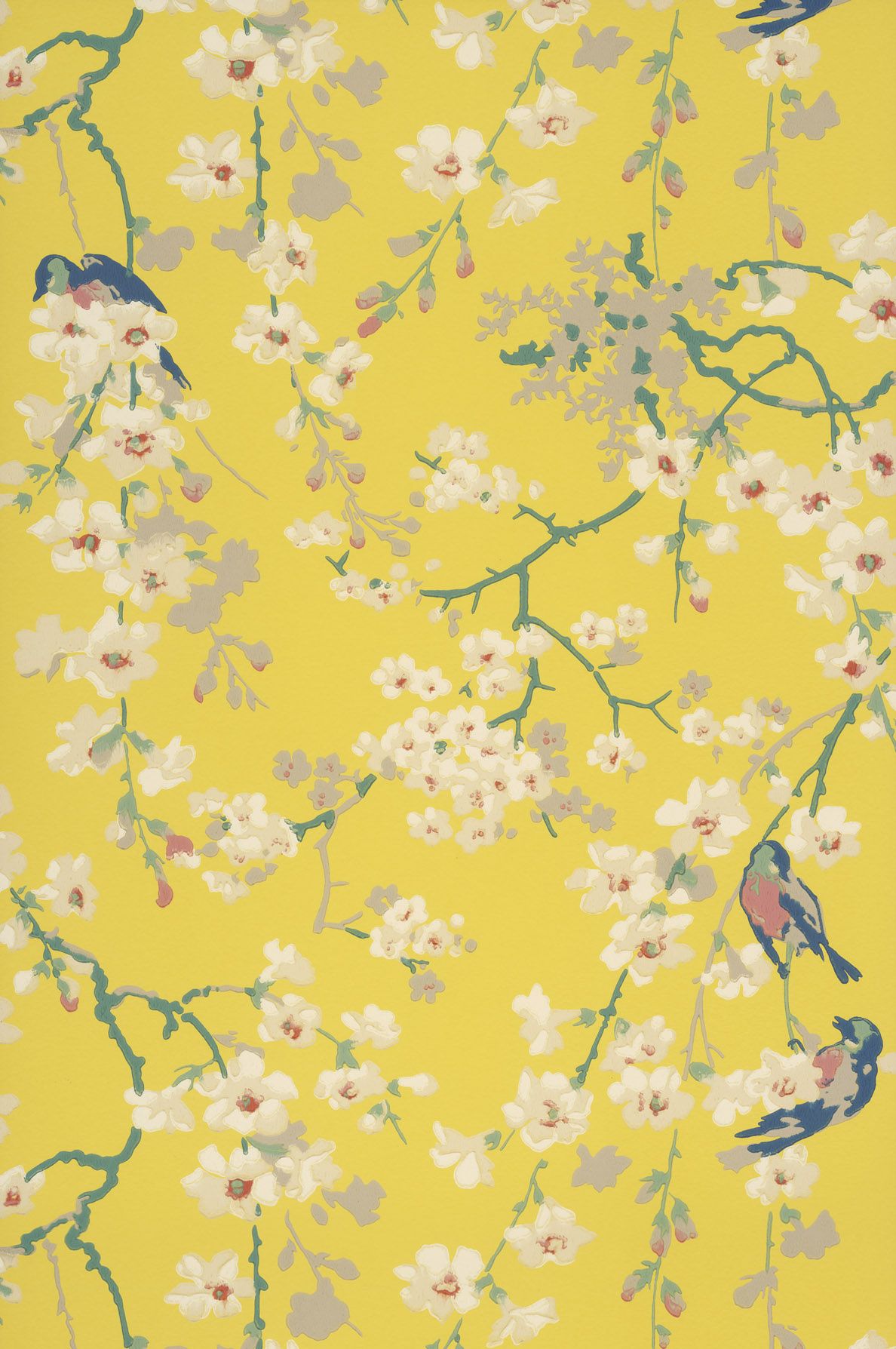 Gelb Hintergrundbild 1188x1788. Massingberd Blossom, Yellow' Tapete kaufen