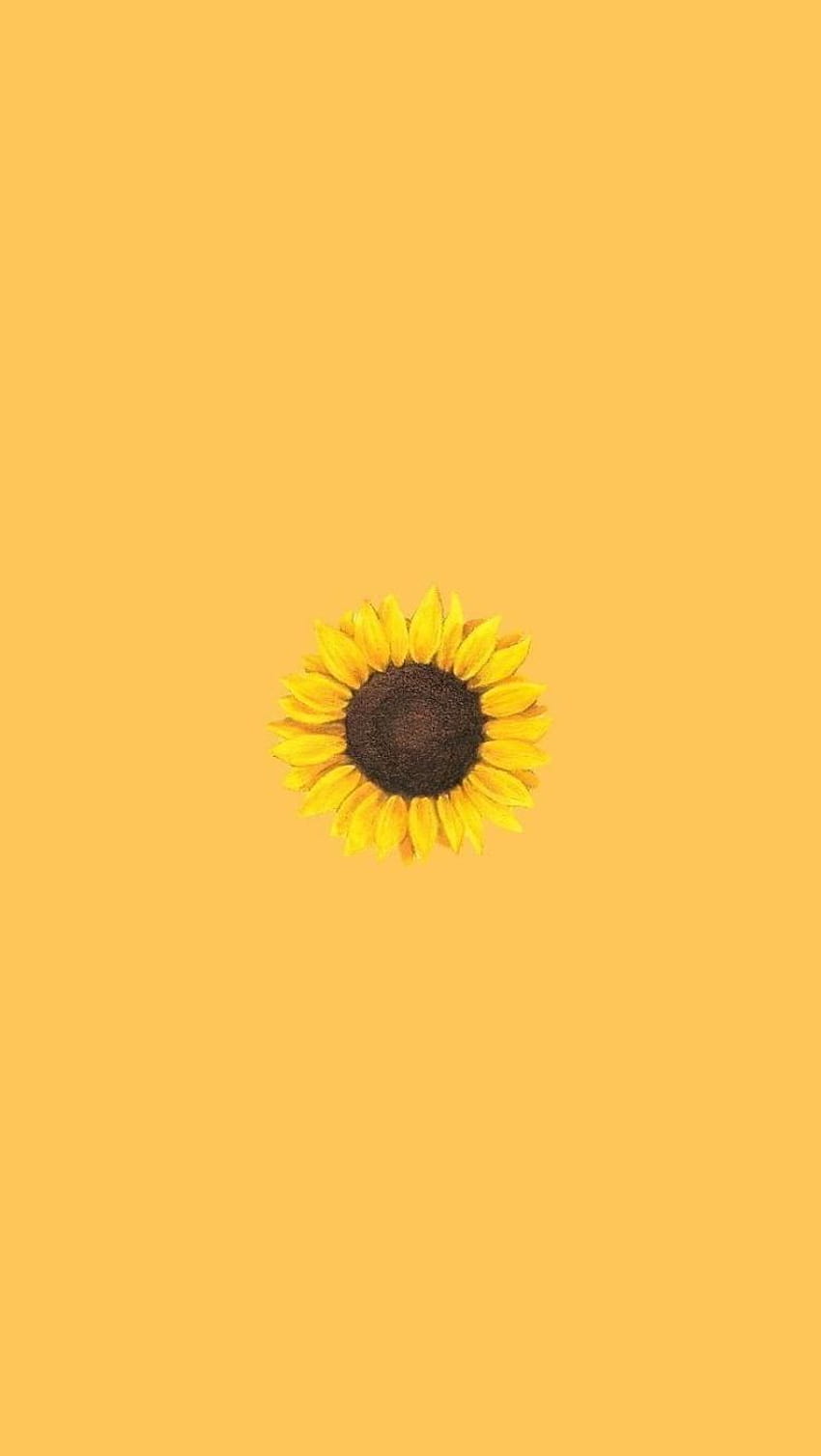 Gelb Hintergrundbild 850x1508. Aesthetic Für iPhone  -  Cave ästhetische Sonnenblume iphone gelbe. Sunflower, iPhone yellow, Yellow HD phone wallpaper