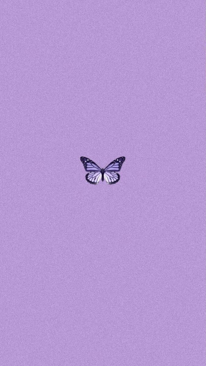 Lila Hintergrundbild 675x1200. wallpaper. Purple butterfly wallpaper, Purple wallpaper phone, Purple wallpaper iphone