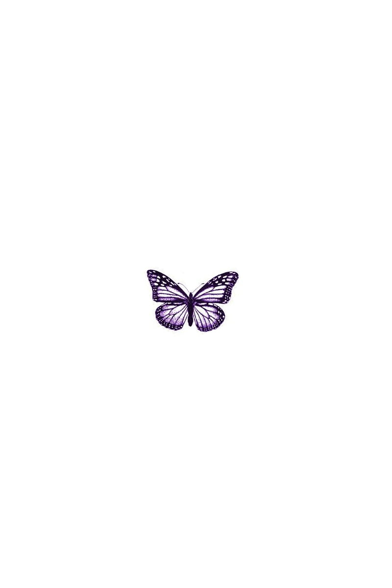 Lila Hintergrundbild 800x1200. Butterfly, icon, lila, HD phone wallpaper