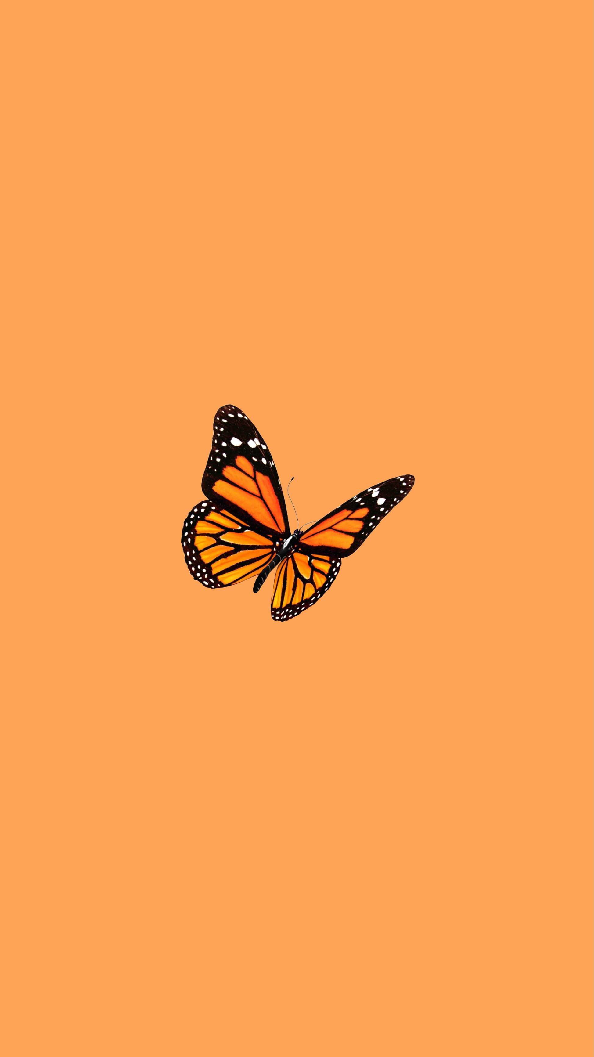 Orange Hintergrundbild 1947x3464. Aesthetic Orange Butterfly Wallpaper Free Aesthetic Orange Butterfly Background