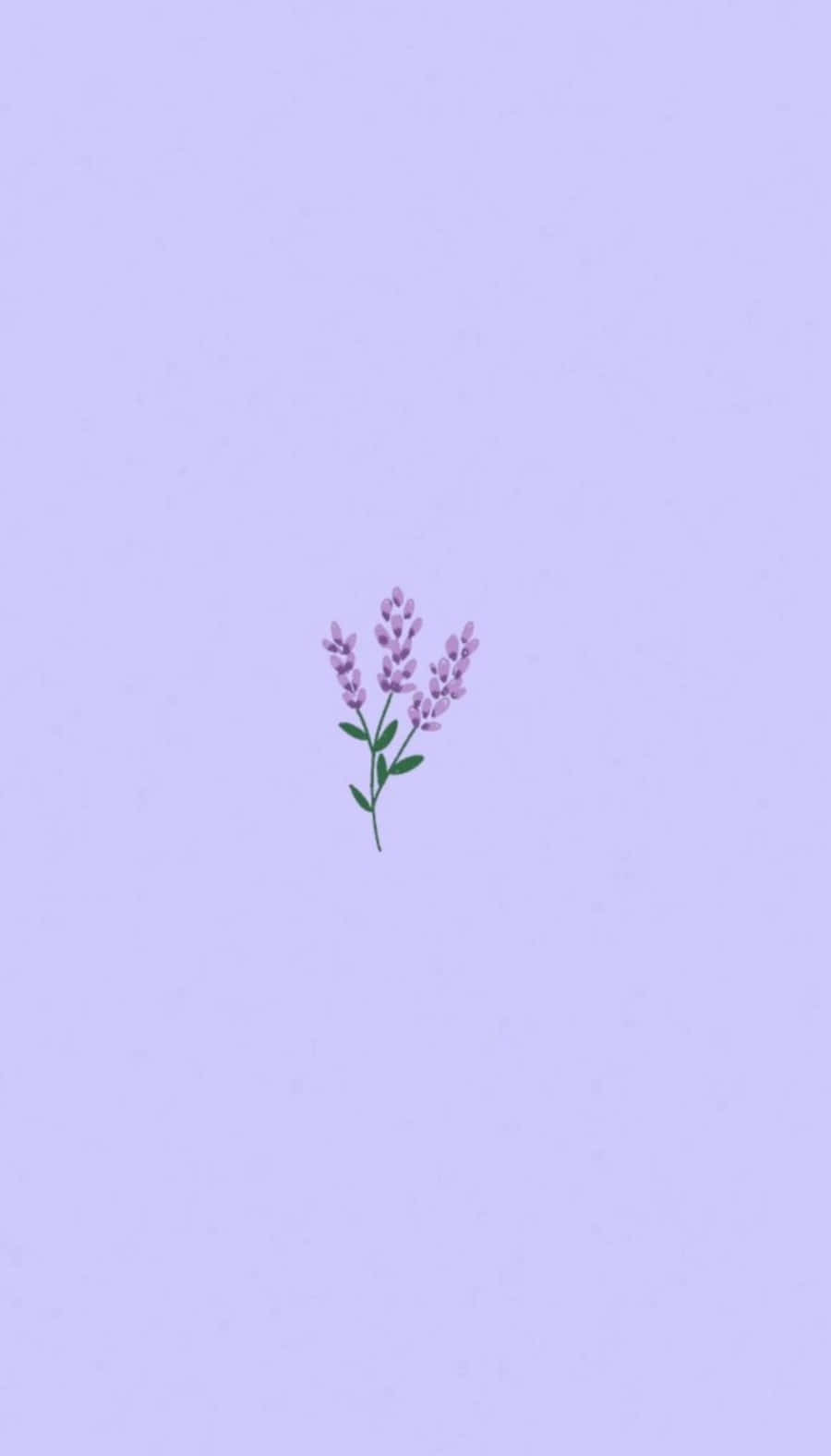 Lila Hintergrundbild 900x1576. Free Cute Light Purple Wallpaper Downloads, Cute Light Purple Wallpaper for FREE