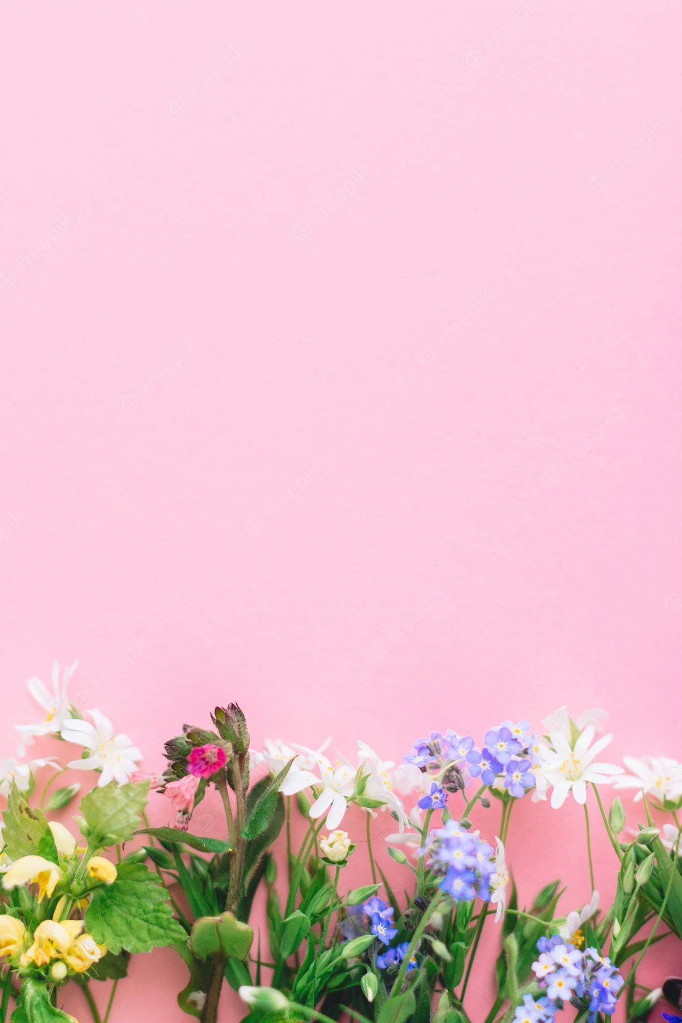 Muttertag Hintergrundbild 1333x2000. Florale flache lage von bunten frühlingswildblumen auf rosa papierhintergrund platz für text florale grußkartenvorlage glückliches muttertagskonzept hallo frühling blühende frühlingsblumen grenze