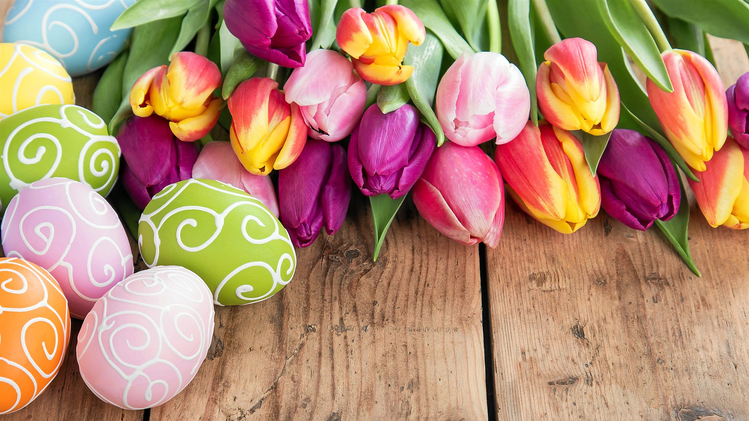 Ostermontag Hintergrundbild 2560x1440. Frohe Ostern, bunte Eier, schöne Blumen, Tulpen, Frühling 3840x2160 UHD 4K Hintergrundbilder, HD, Bild