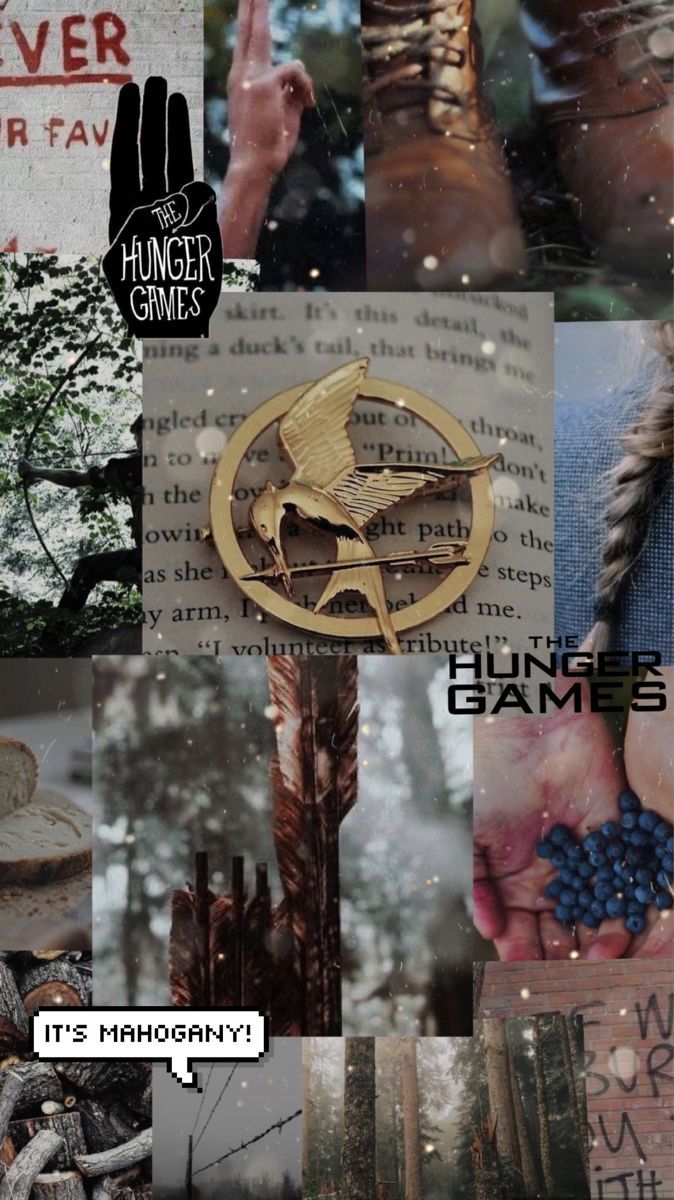 Glucklich Hintergrundbild 674x1200. Hunger games aesthetic wallpaper. Hunger games wallpaper, Hunger games, Hunger games fandom