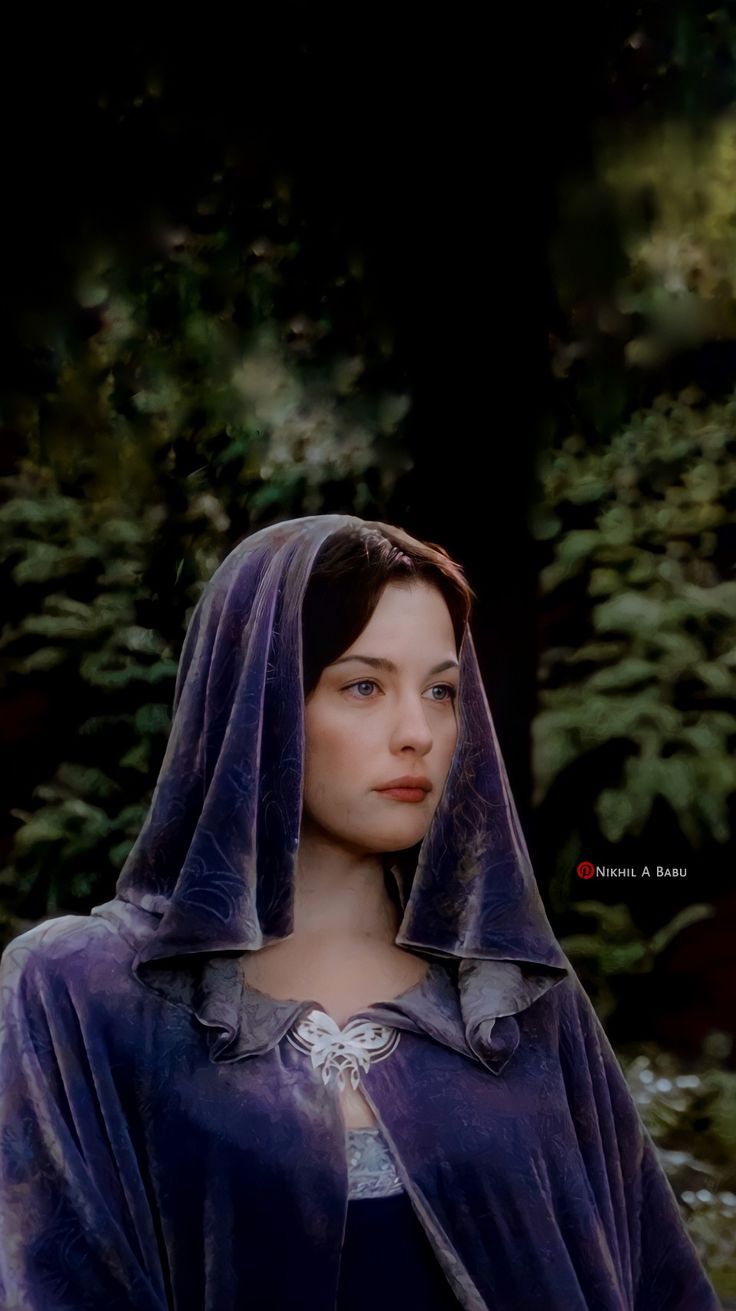 The Lord Of The Rings: The Return Of The King Hintergrundbild 736x1311. Lord of the Rings : Return of the King Arwen. Lord of the rings, Arwen, Fairy aesthetic outfit