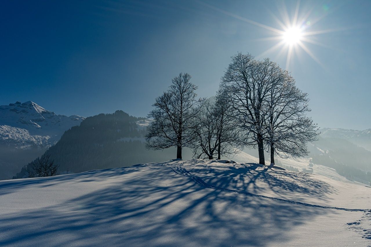 Desktop Hintergrundbild 1280x853. Desktop Hintergrundbilder Lichtstrahl Schatten Natur Sonne Winter