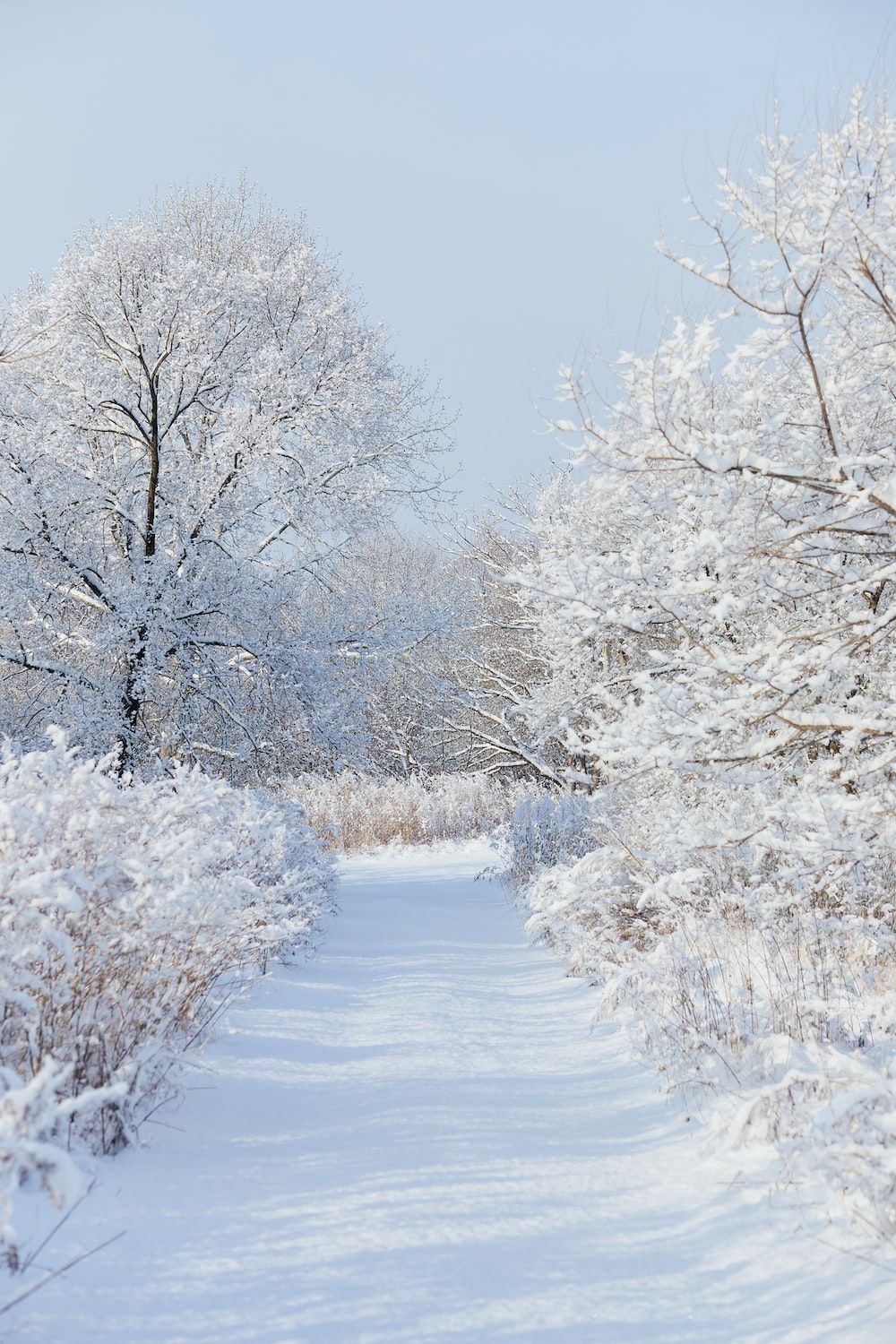 Winter Hintergrundbild 1000x1500. Aesthetic Winter Picture. Download Free Image