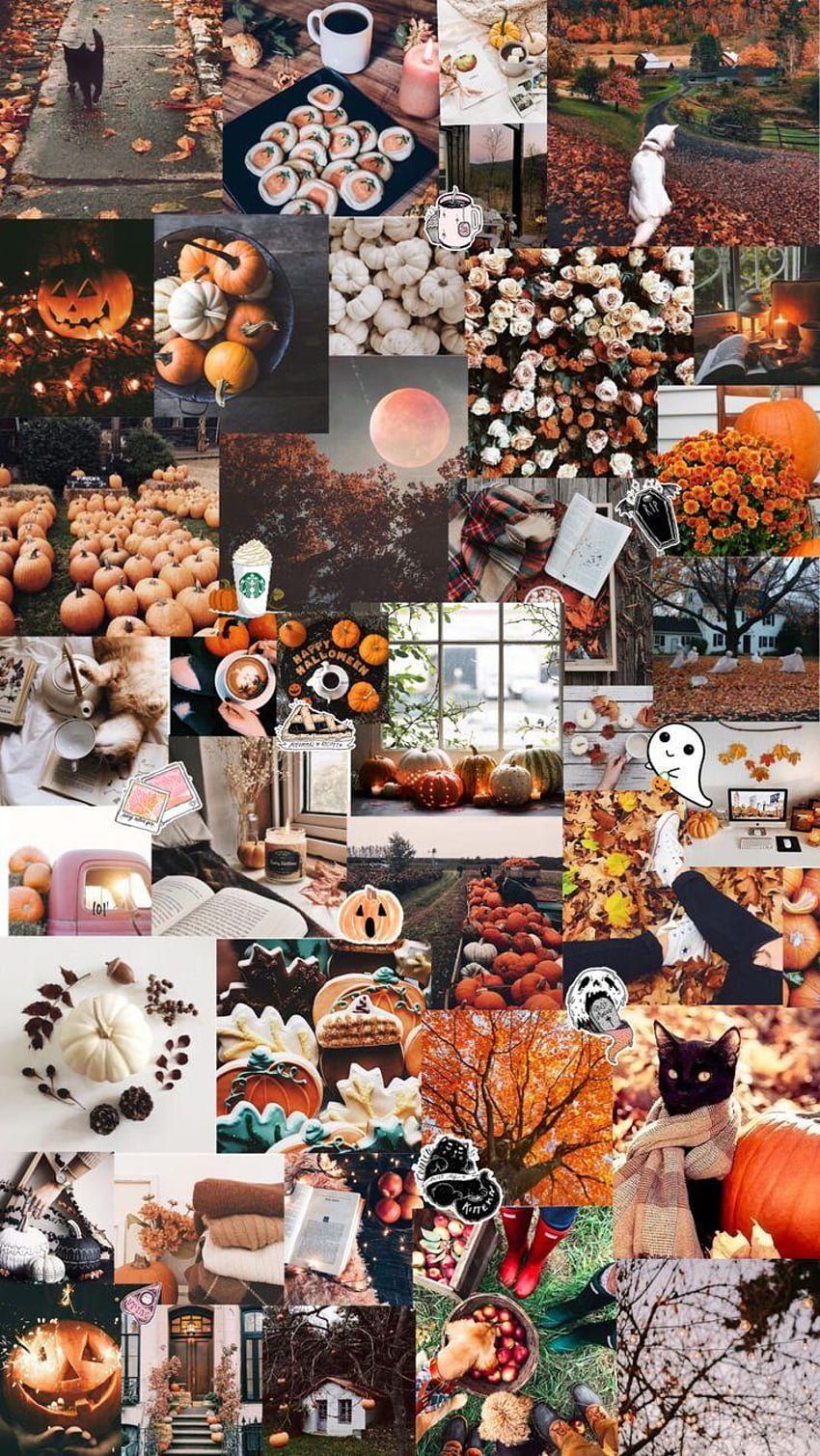 Herbst Hintergrundbild 850x1509. Herbst / Halloween ästhetischer Hintergrund HD phone wallpaper