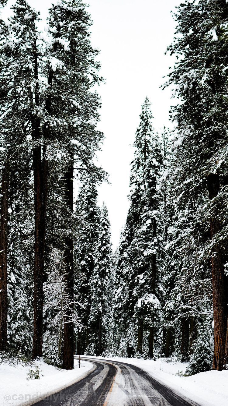 Winter Hintergrundbild 750x1333. Winter Aesthetic Wallpaper