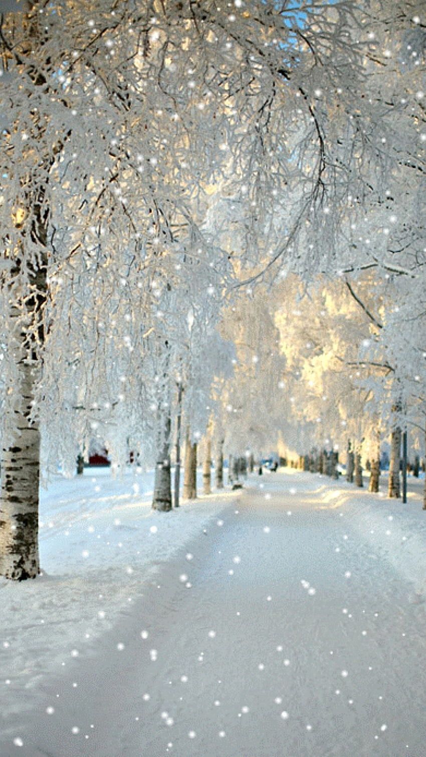 Winter Hintergrundbild 850x1511. Winter aesthetic HD wallpaper