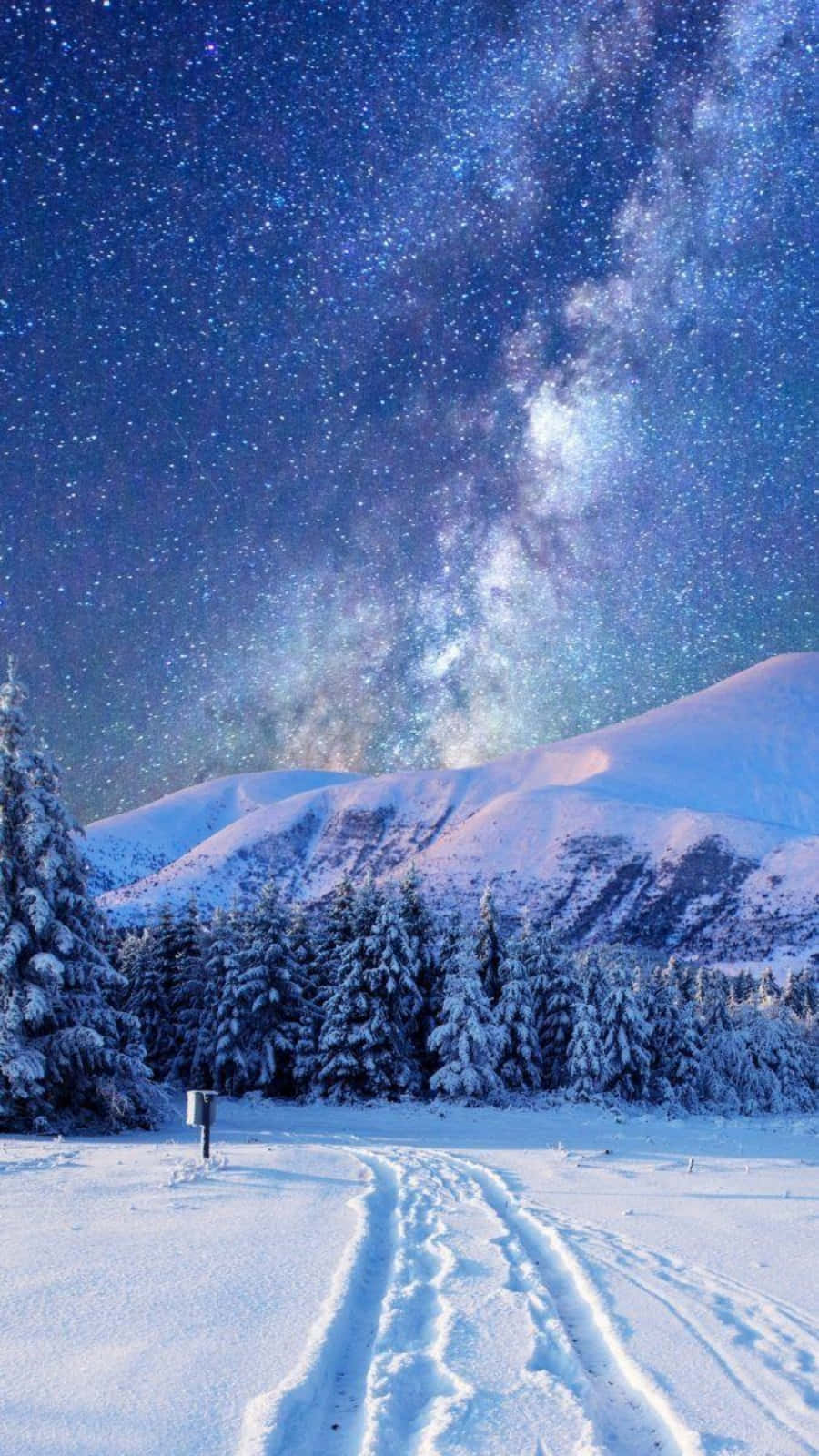 Winter Hintergrundbild 900x1600. Download Winter Aesthetic Phone Forest Under Starry Sky Wallpaper