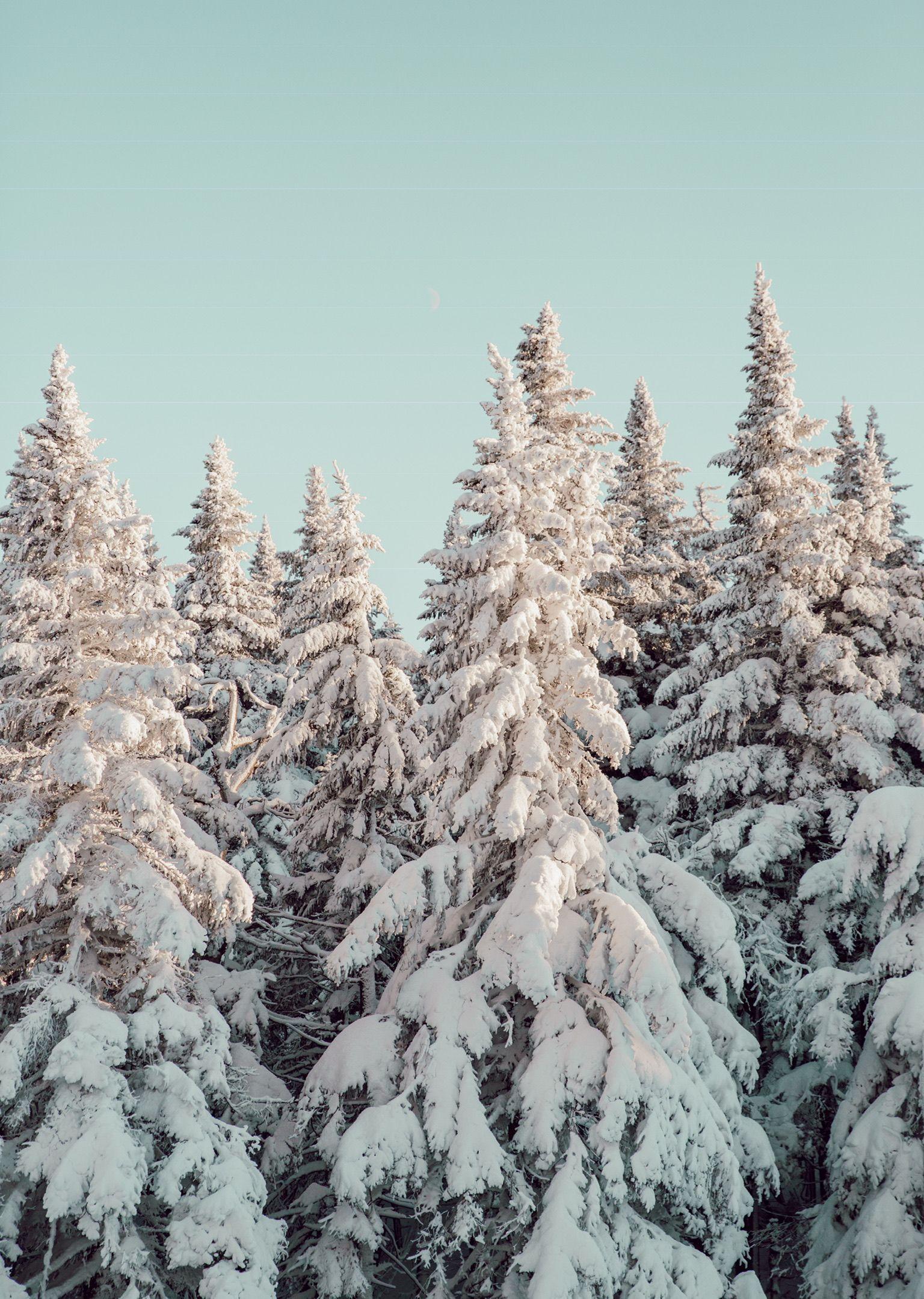Winter Hintergrundbild 1536x2157. Winter Wonderland Aesthetic Wallpaper