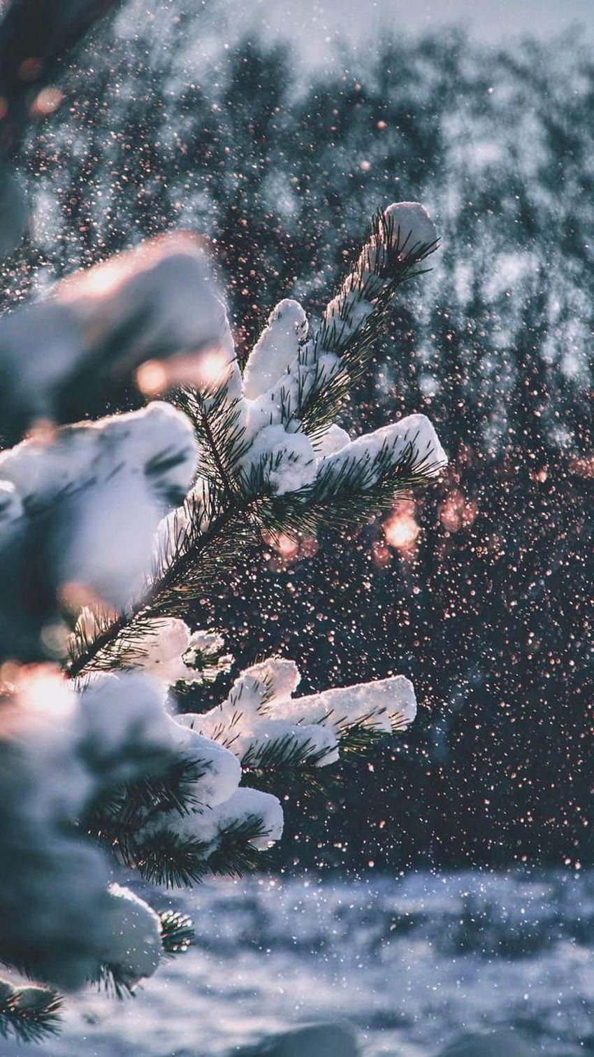 Winter Hintergrundbild 850x1511. Aesthetic Winter iPhone Tumblr, hello winter aesthetic HD phone wallpaper