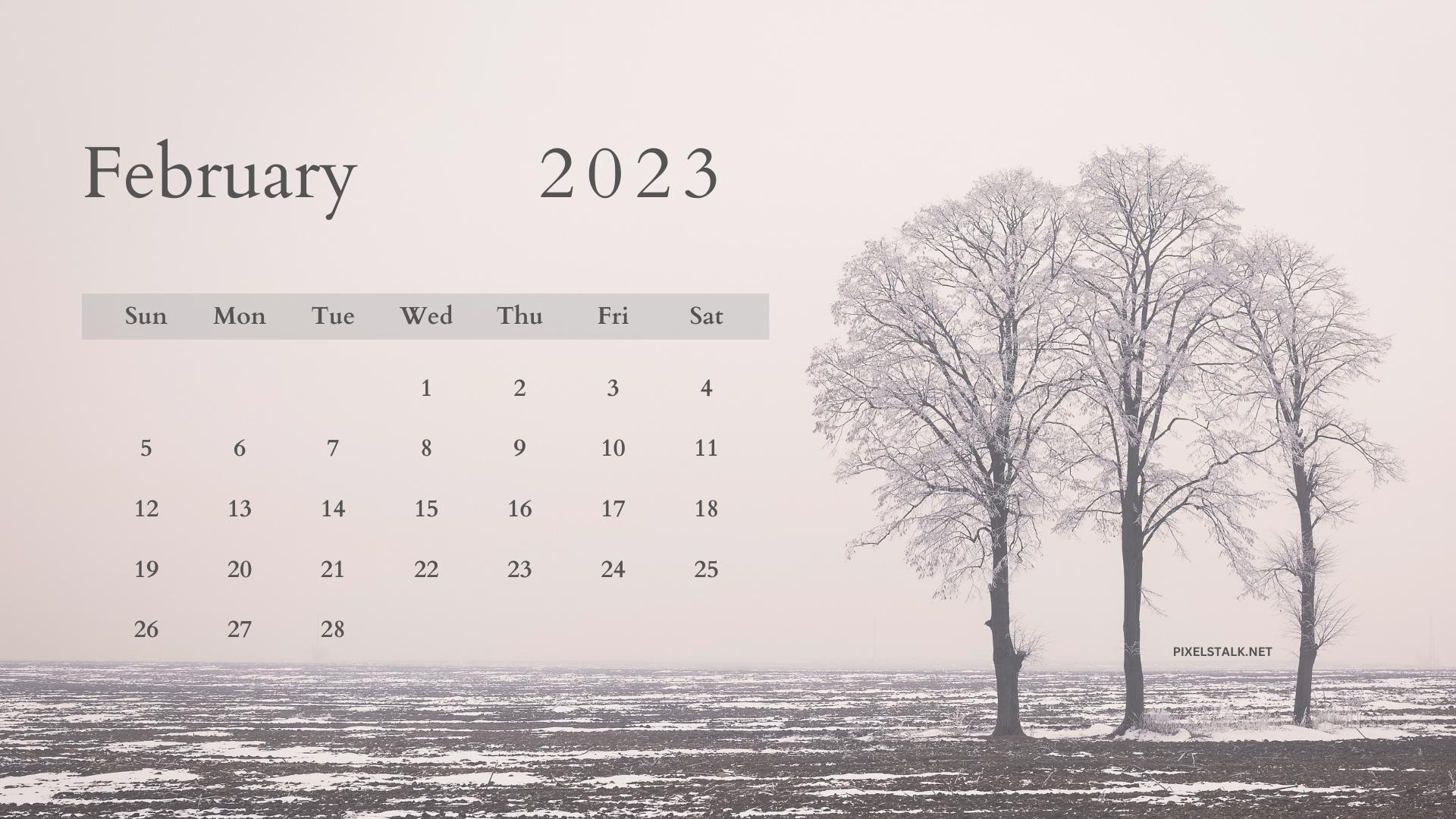 Kalender 2023 Hintergrundbild 1920x1080. February 2023 Calendar Desktop Wallpaper