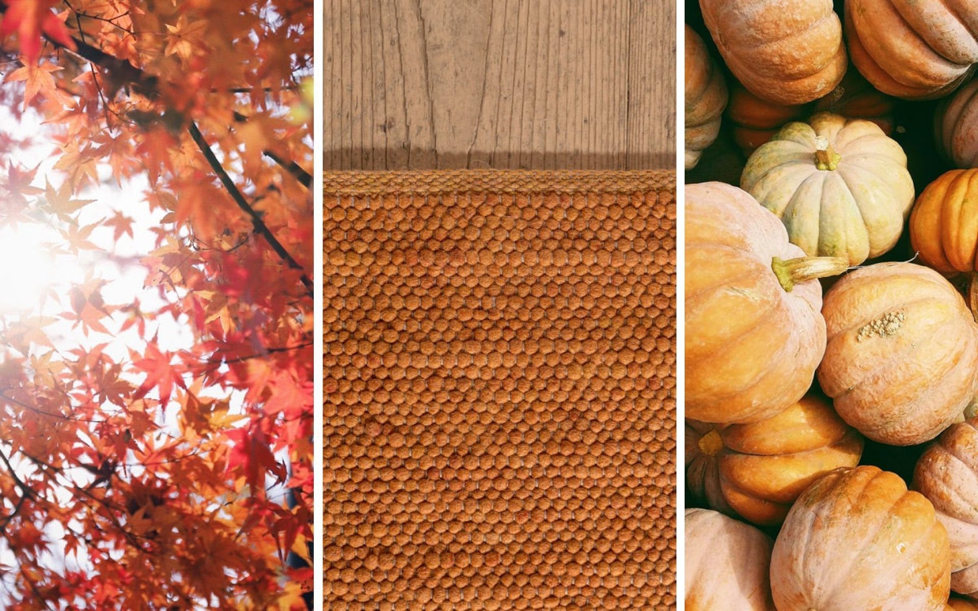 Herbst Hintergrundbild 1920x1200. Einrichtungstipps für den Herbst