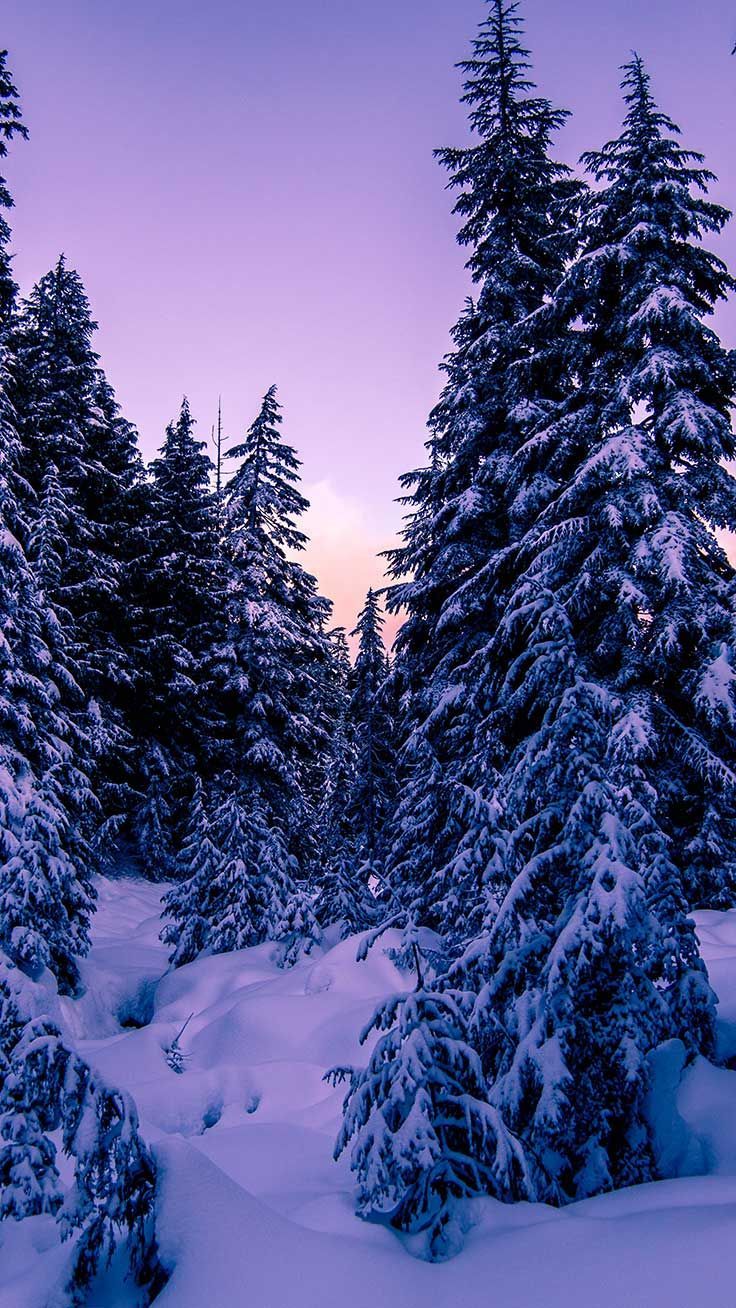 Winter Hintergrundbild 736x1308. x Winter Landscapes iPhone Wallpaper Collection. Preppy Wallpaper. Winter landscape, Winter wallpaper, Winter scenery