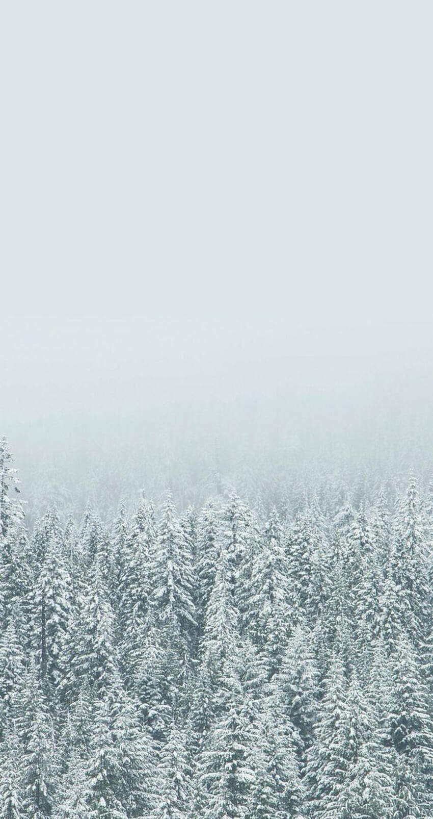 Winter Hintergrundbild 850x1606. Aesthetic, aesthetic winter HD phone wallpaper