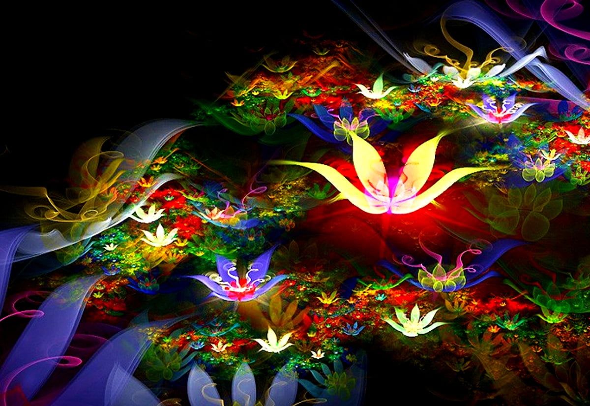 Fraktale Hintergrundbild 1200x825. Fantastische Blumen, Fraktal, Malerei Hintergrundbild. Download kostenlose Hintergründe
