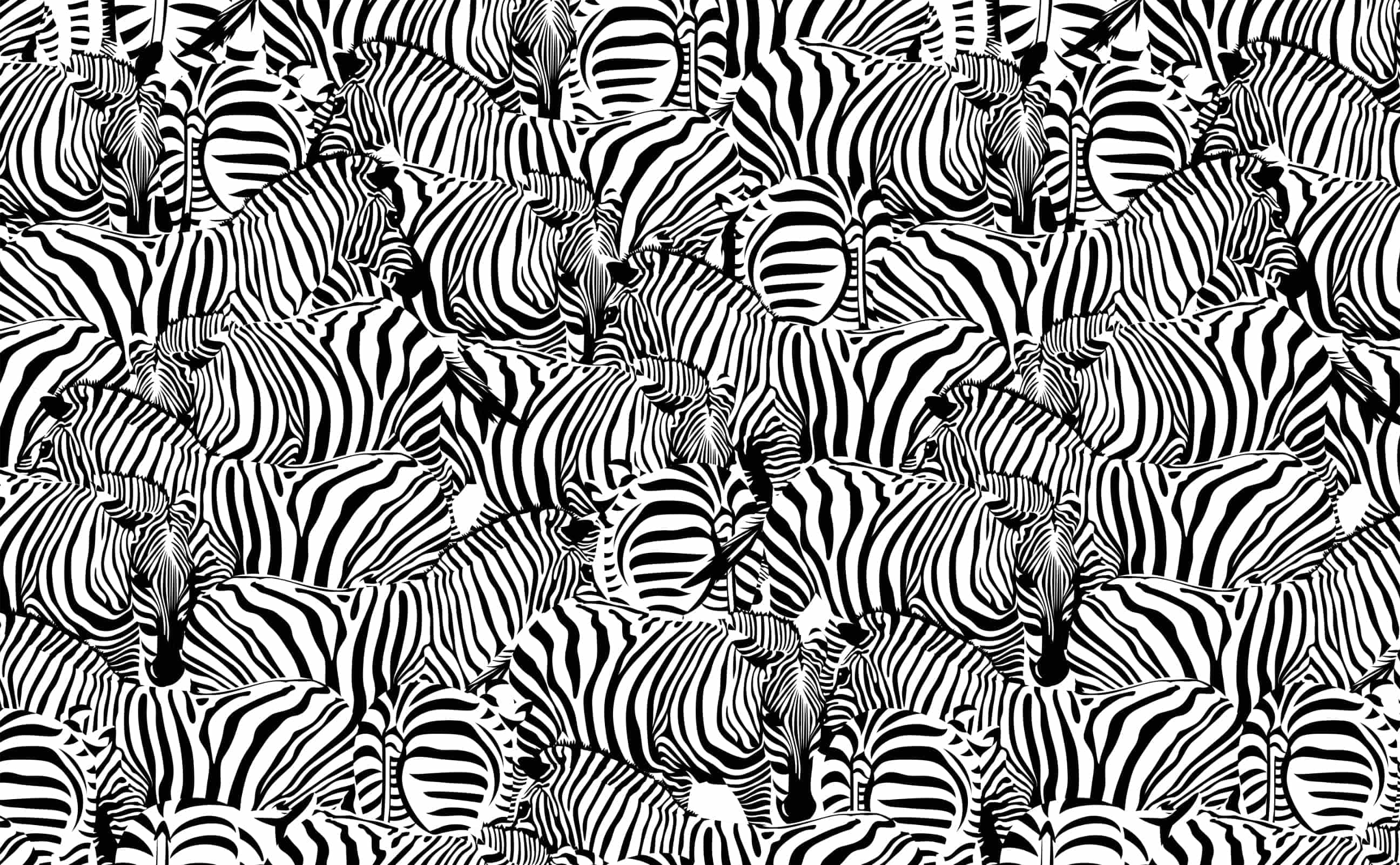 Formen Hintergrundbild 2592x1602. Stylish black and white zebra Pattern Wallpaper for Walls