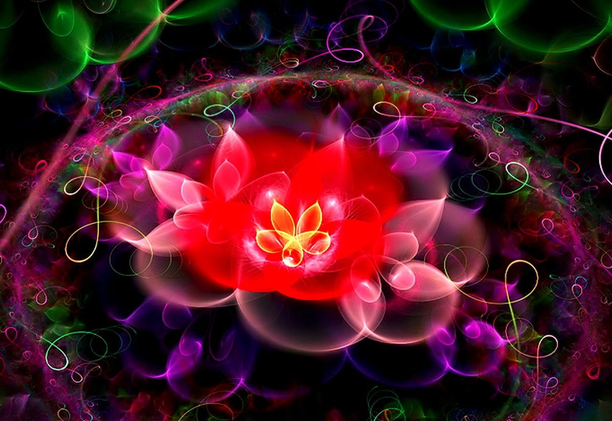 Fraktale Hintergrundbild 1200x825. Fantastische Blumen, Fraktal, Rosa Hintergrundbild. Download beste freie Wallpaper