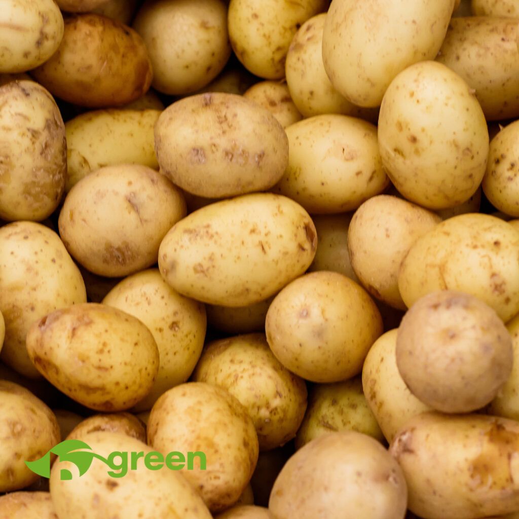  Kartoffel Hintergrundbild 1024x1024. Wie die Kartoffel zum Etikett wird