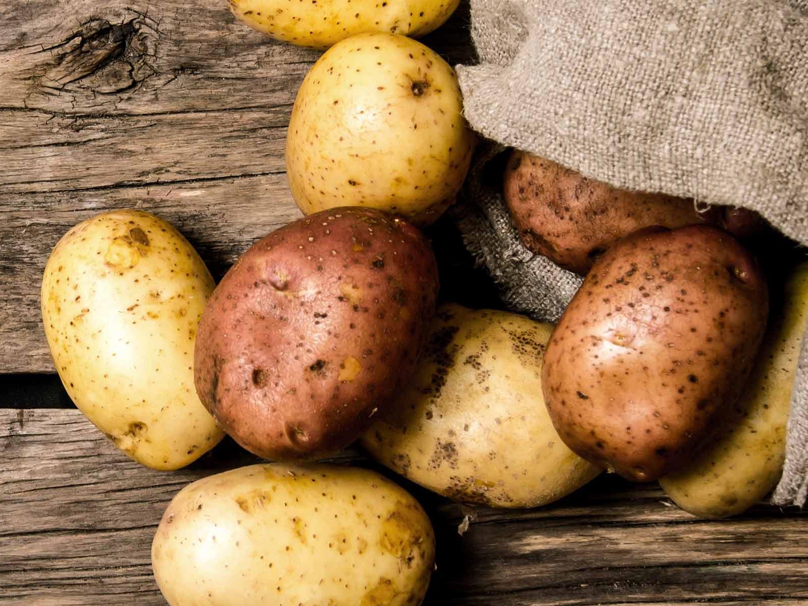  Kartoffel Hintergrundbild 1600x1200. Best of: König Kartoffel