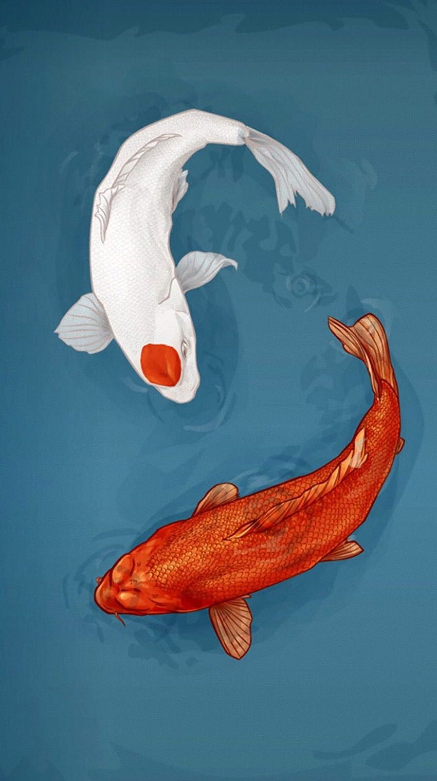  Fisch Hintergrundbild 850x1519. Aesthetic fish HD wallpaper