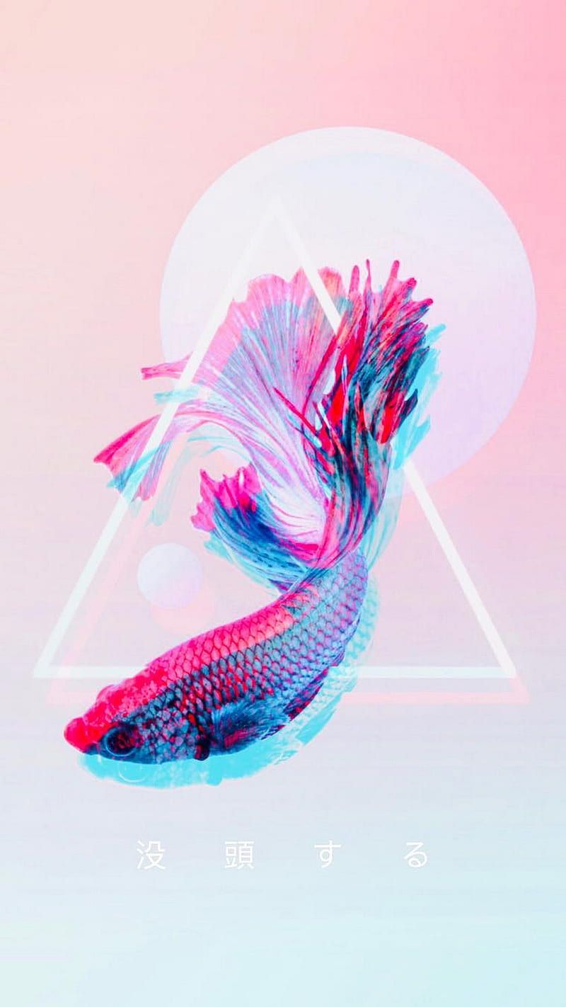  Fisch Hintergrundbild 800x1422. Beta Fish, colorful, girly, vaporwave, HD phone wallpaper
