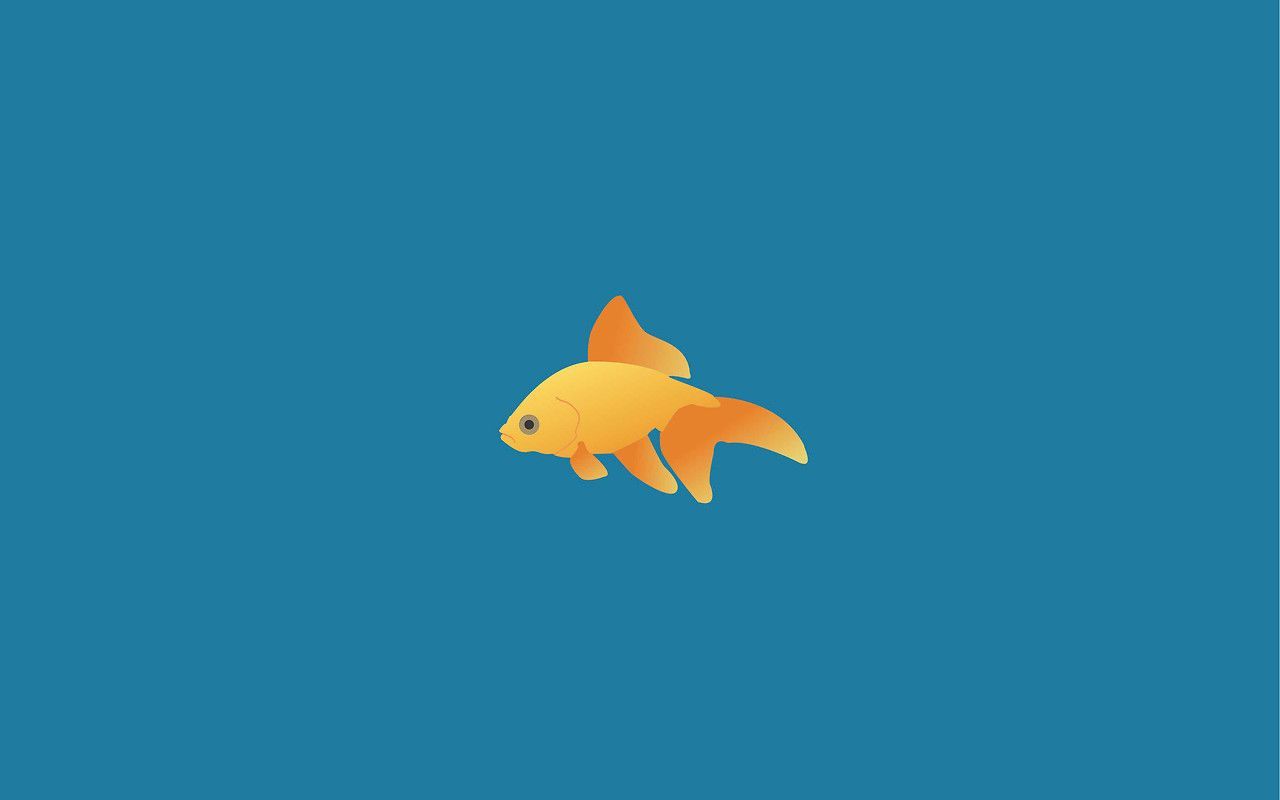  Fisch Hintergrundbild 1280x800. Minimal Fish Wallpaper Free Minimal Fish Background