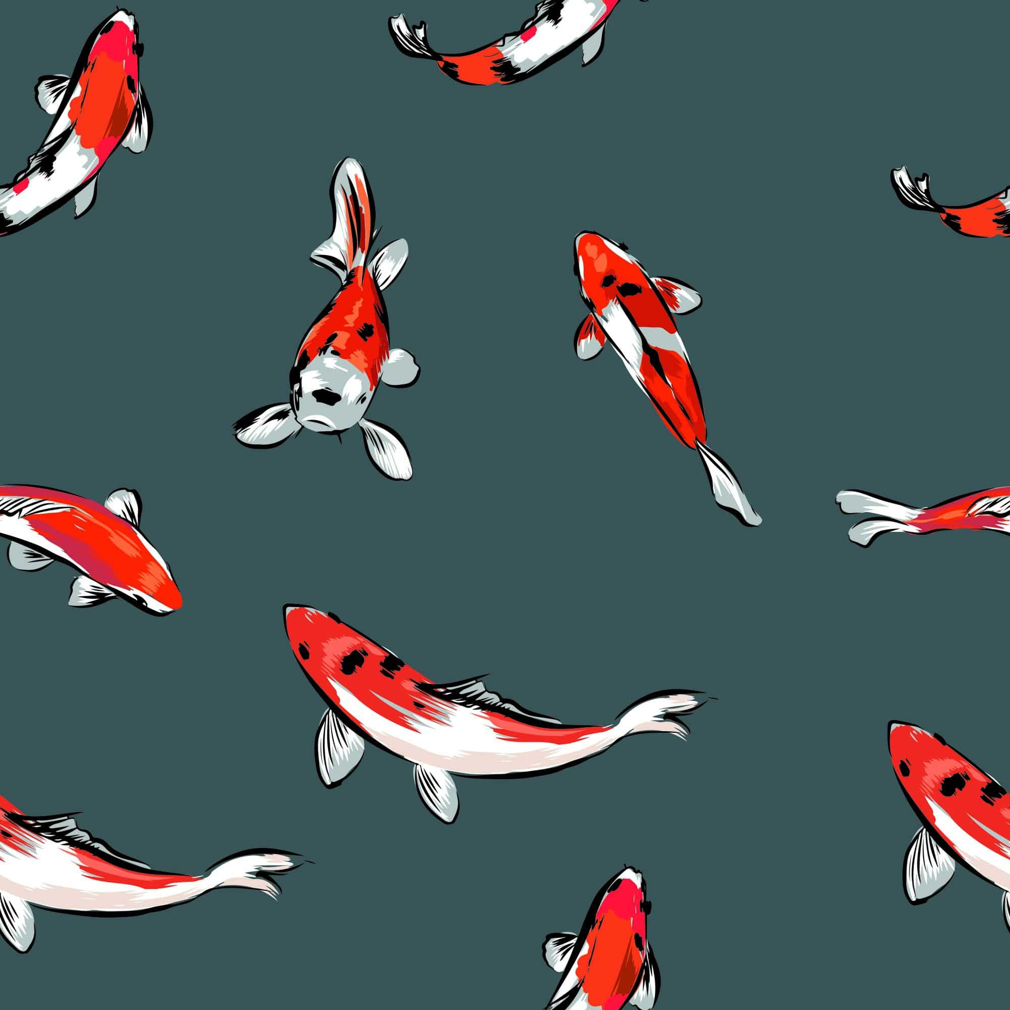  Fisch Hintergrundbild 2000x2000. Koi Fish Wallpaper And Stick Or Non Pasted