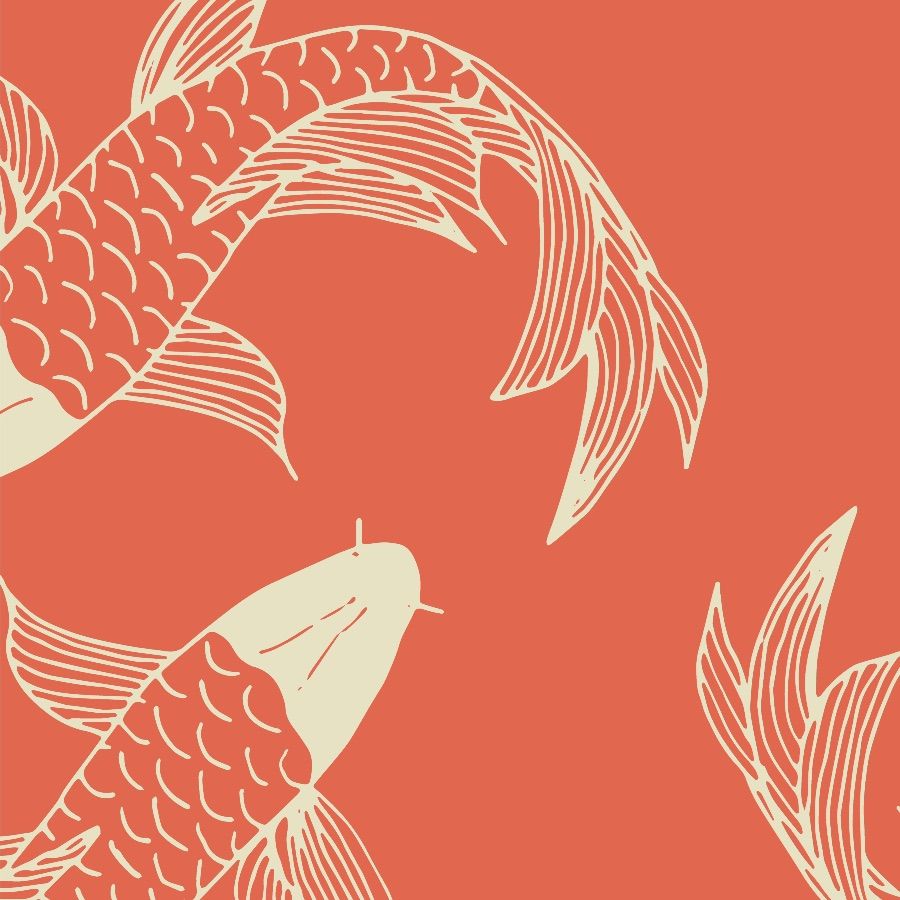  Fisch Hintergrundbild 900x900. Orange Koi Fish Wallpaper and Stick