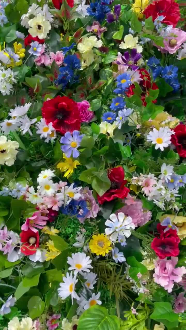  Blumenwiese Hintergrundbild 720x1280. Wilde Blumenwiese Kulisse 3D Blumenwand lebendige