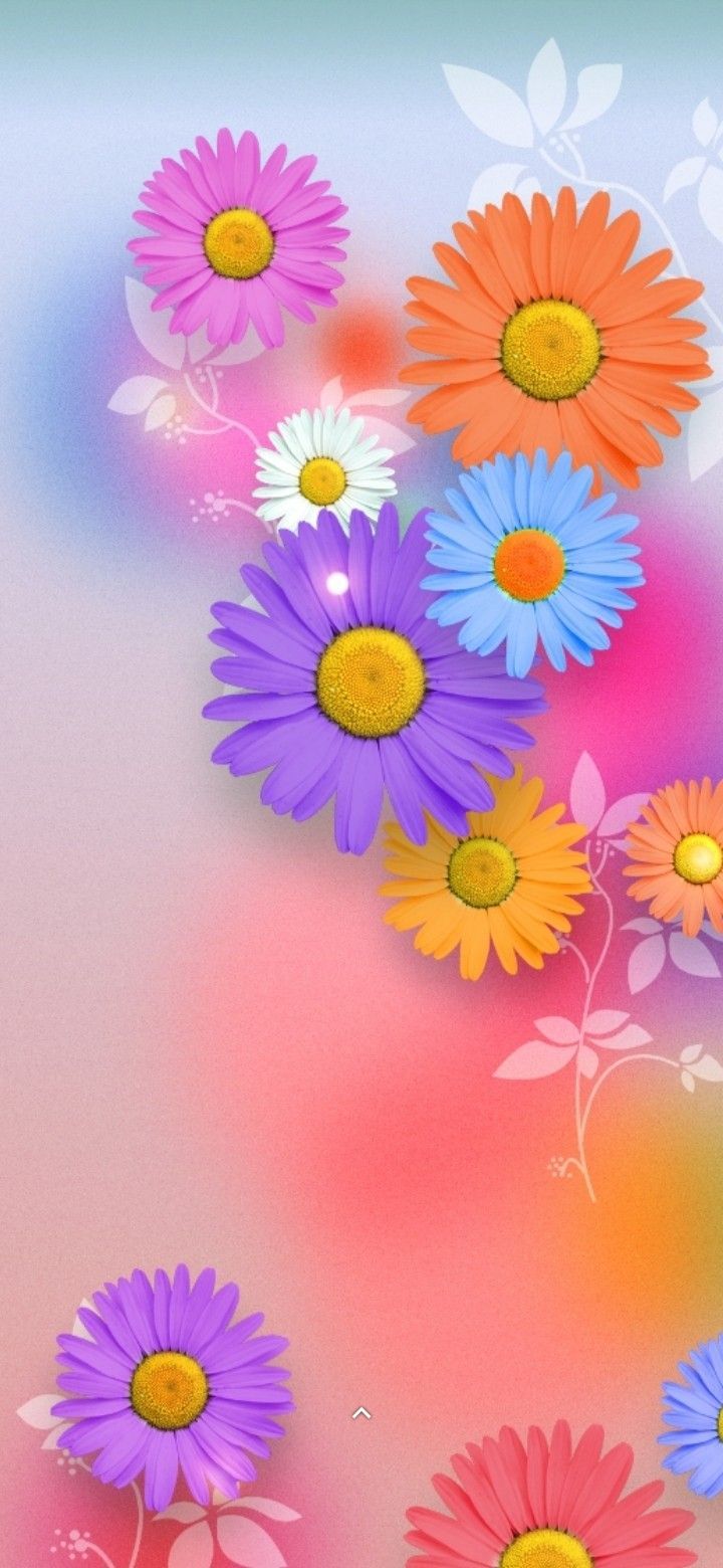  Blumenwiese Hintergrundbild 720x1560. Flowers Wallpaper