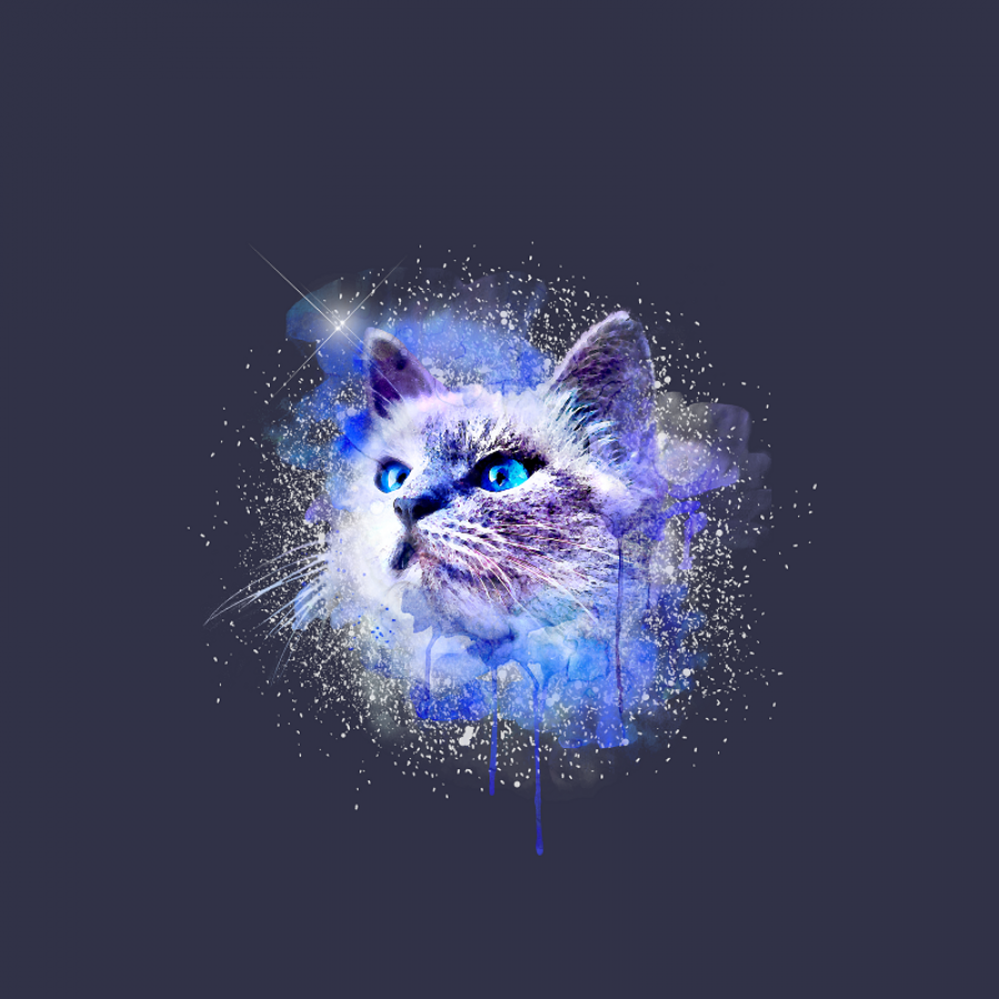 Glitzer Galaxy Hintergrundbild 900x900. Glamour Zauberhafte Nähereien Katze digital